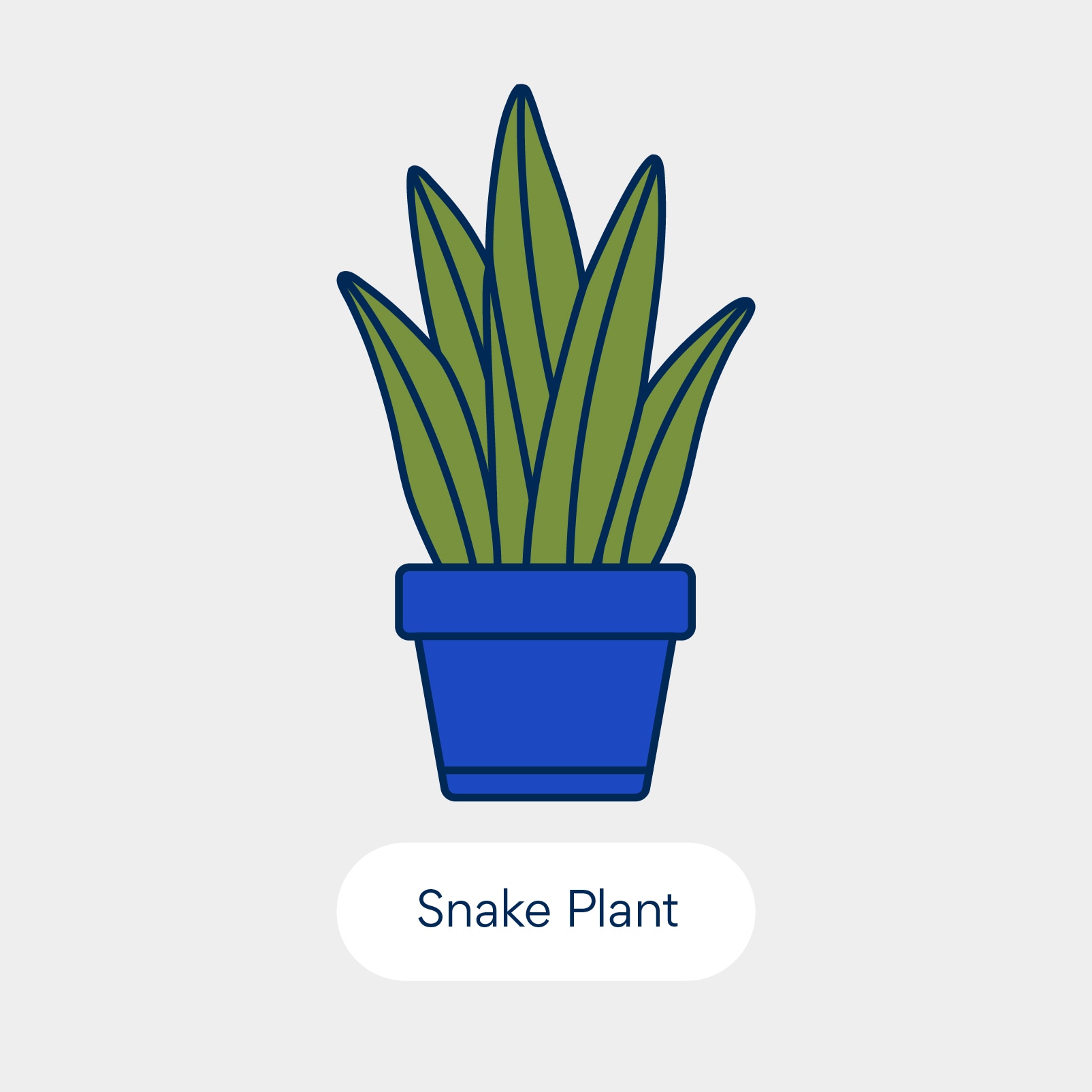 نباتات سامة للقطط: نبات الثعبان