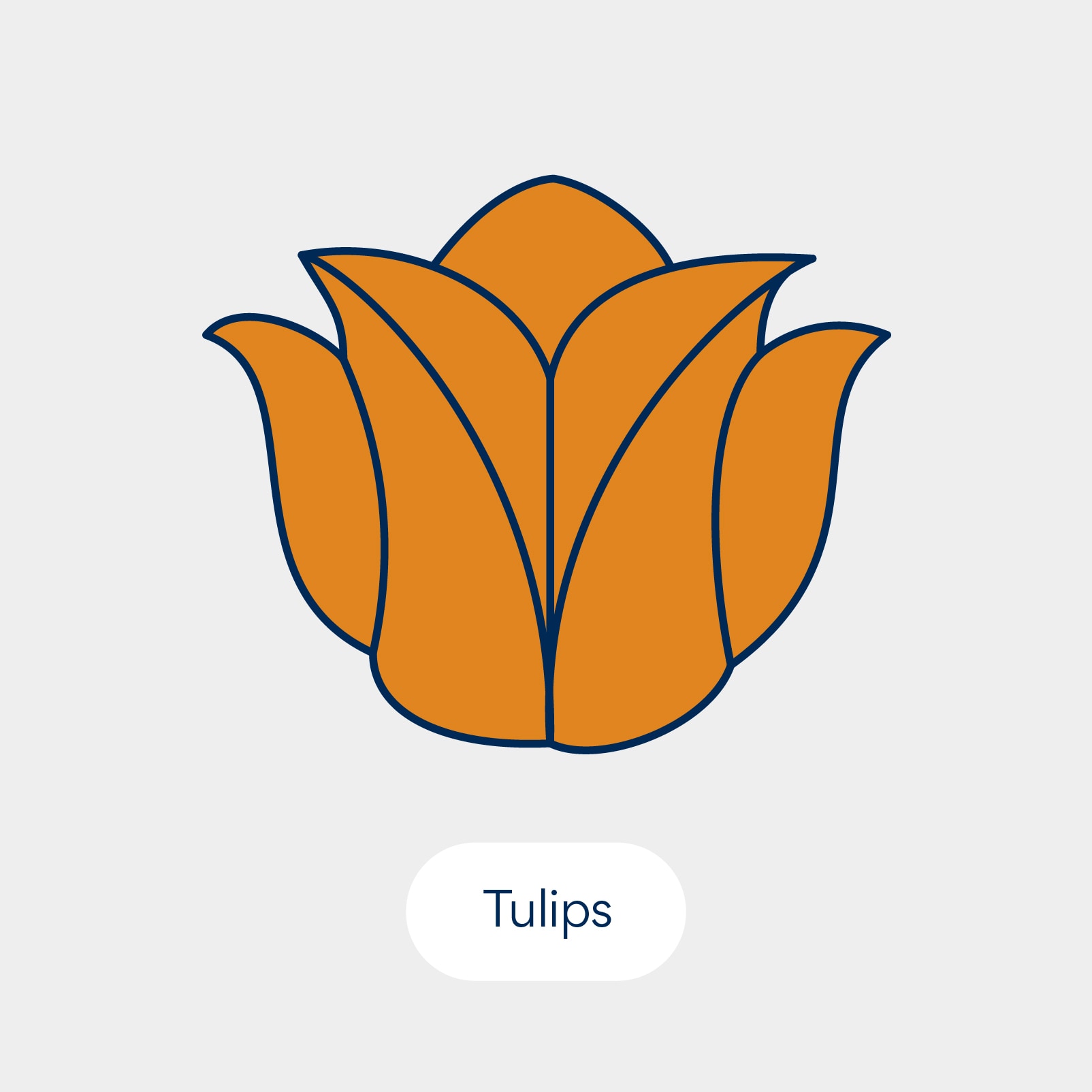 نباتات سامة للقطط: زنبق