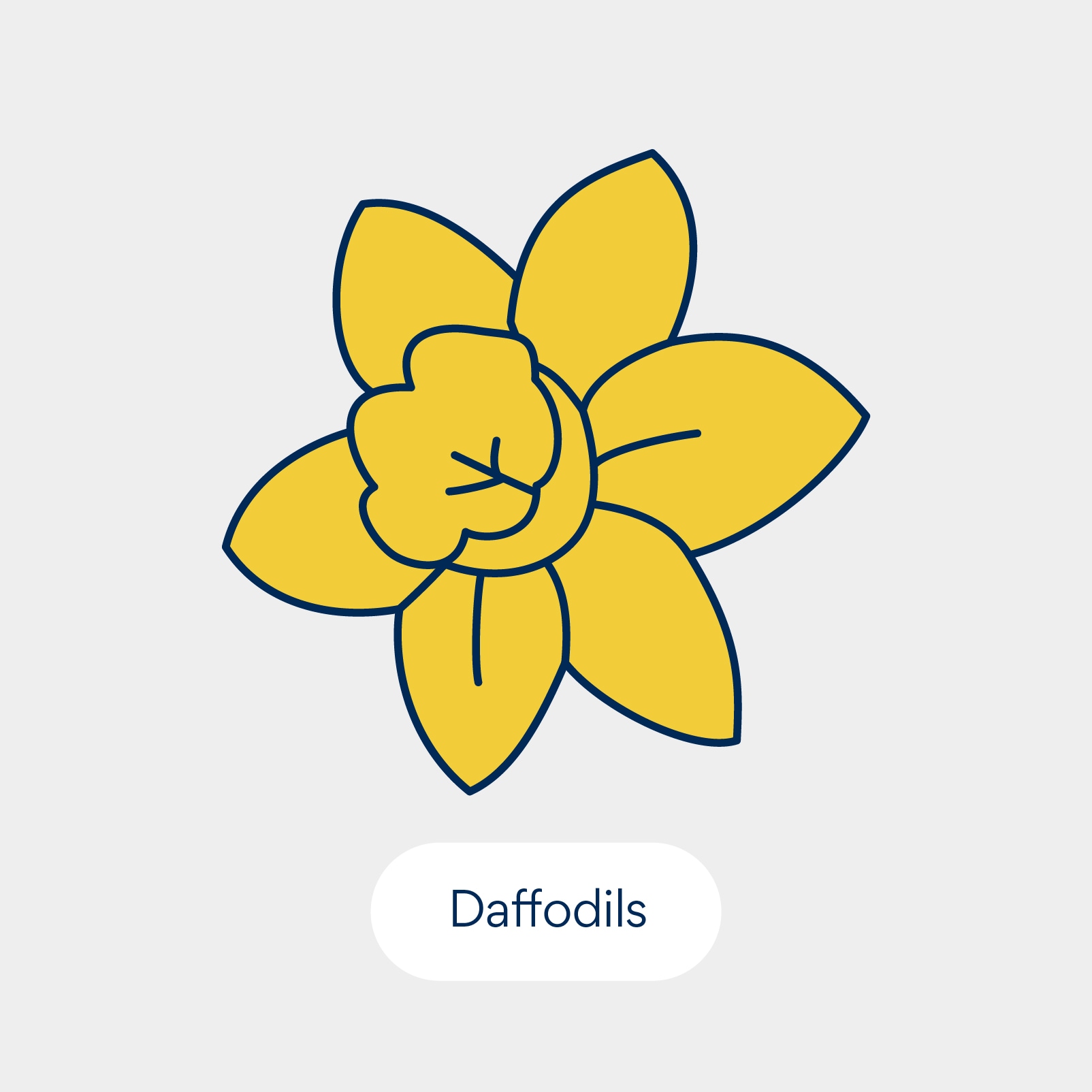 نباتات سامة للقطط: