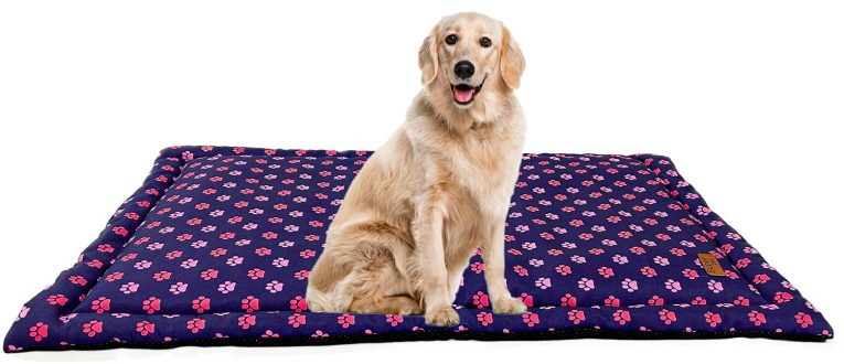 سرير كلاب او قطط بلون قرفة مقاس 45.72 سم مع مسند طاولة من ميد ويست هومز فور بيتس | سلالات مثالية للكلاب مقاس XS ويناسب قفص الكلاب مقاس 55.88 سم | سهل الصيانة والغسل والتجفيف في الغسالة