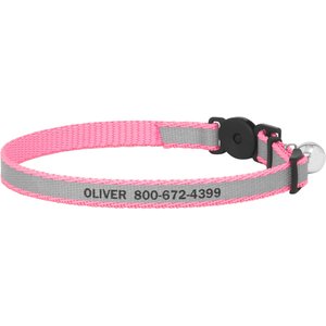 Frisco Polyester Personalized Reflective Cat Collar with Bell, 8 to 12-in neck, 3/8-in wide
