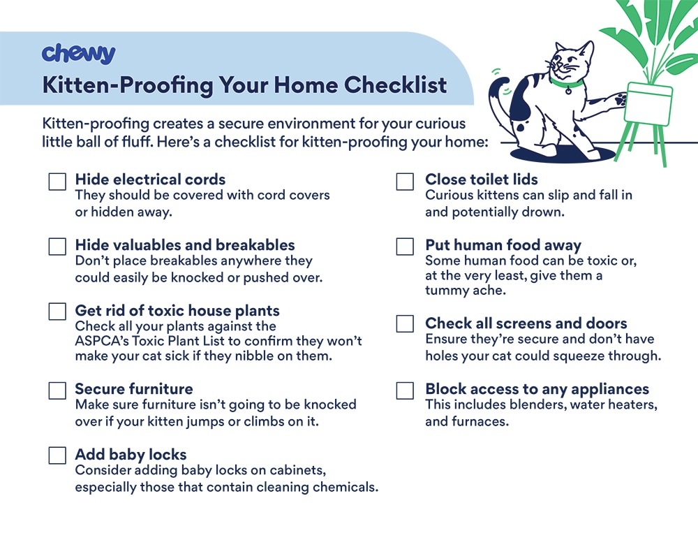متجر قطط New Kitten Printables-Kitten-Proof Your Home Checklist