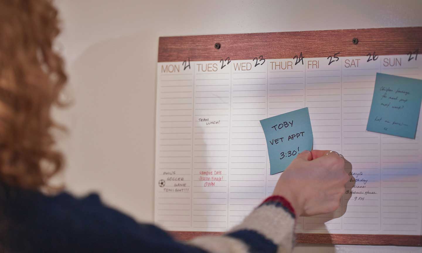 صورة لامرأة تضيف تذكير بموعد طبيب بيطري إلى تقويمها للتعامل مع رش القطط