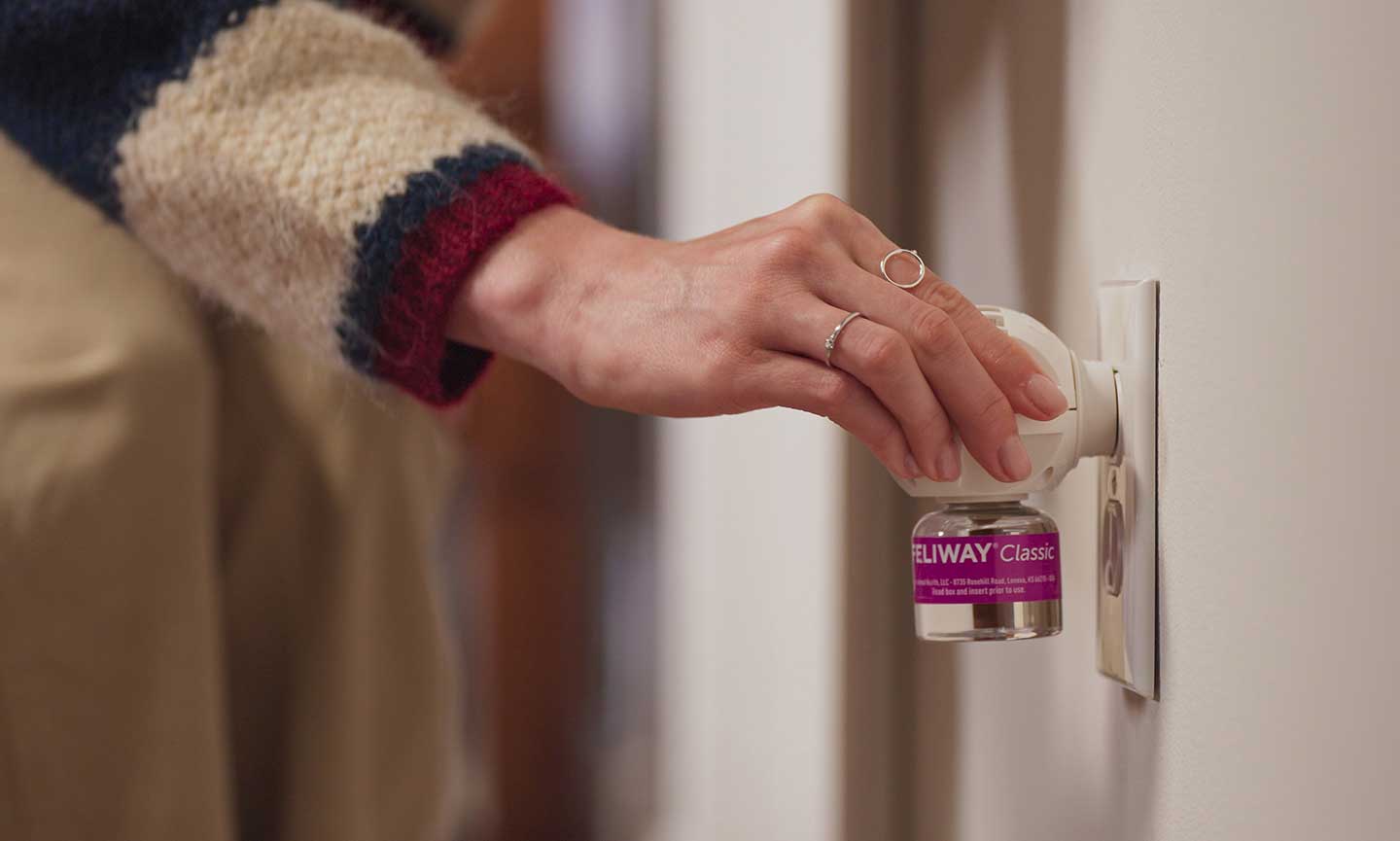 صورة لامرأة تقوم بتوصيل جهاز تفويج الفيرومون للمساعدة في معالجة رش القطط