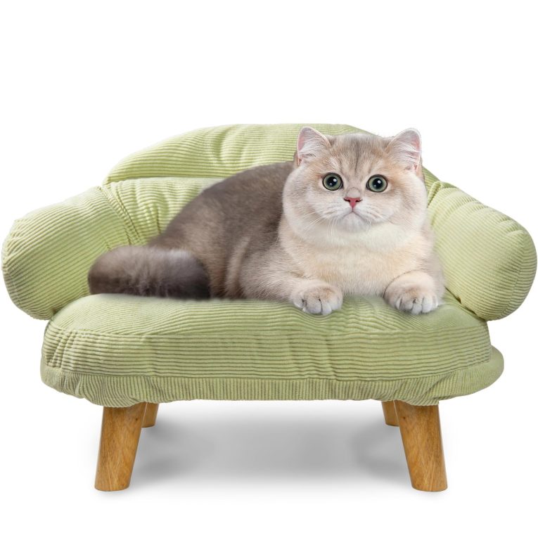 انفوسن كنبة سرير للقطط والحيوانات الاليفة المنفوشة مع غطاء مقاوم للماء قابل للازالة ومقاوم للخدش مع اطار بارجل خشبية، مناسب للقطط والجراء والحيوانات الصغيرة (اخضر)