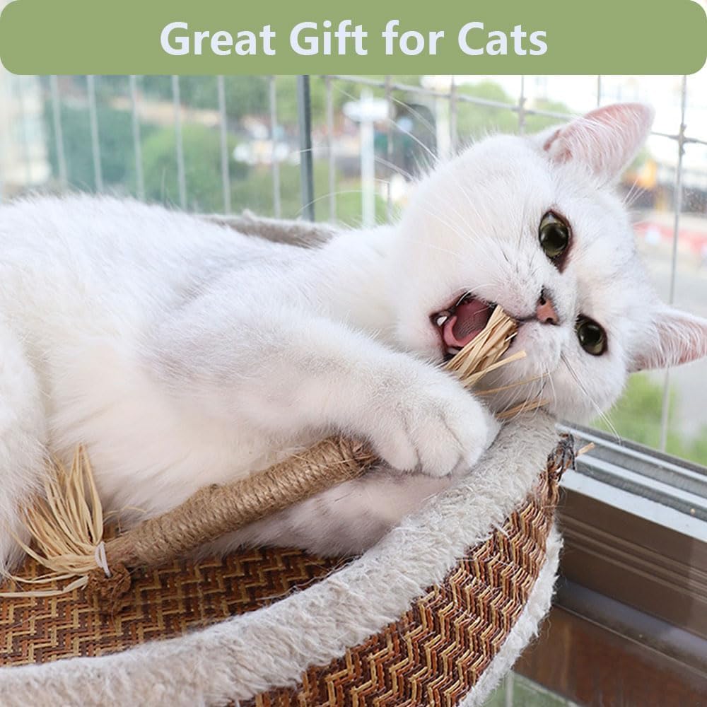 3 قطع من عصي الكرمة الفضية الطبيعية من بوكيلا، لعبة اسنان النعناع البري لتنظيف اسنان القطط، العاب مضغ للقطط والقطط الصغيرة للمضغ العدواني، عصي كرمة فضية سهلة الحمل