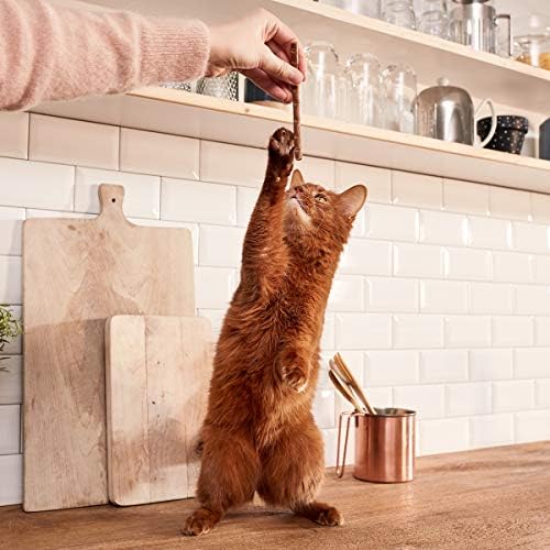 أعواد طعام للقطط بنكهة لحم الضأن والدجاج من جيم كات، 20 جرام.، بالغ، قطعة