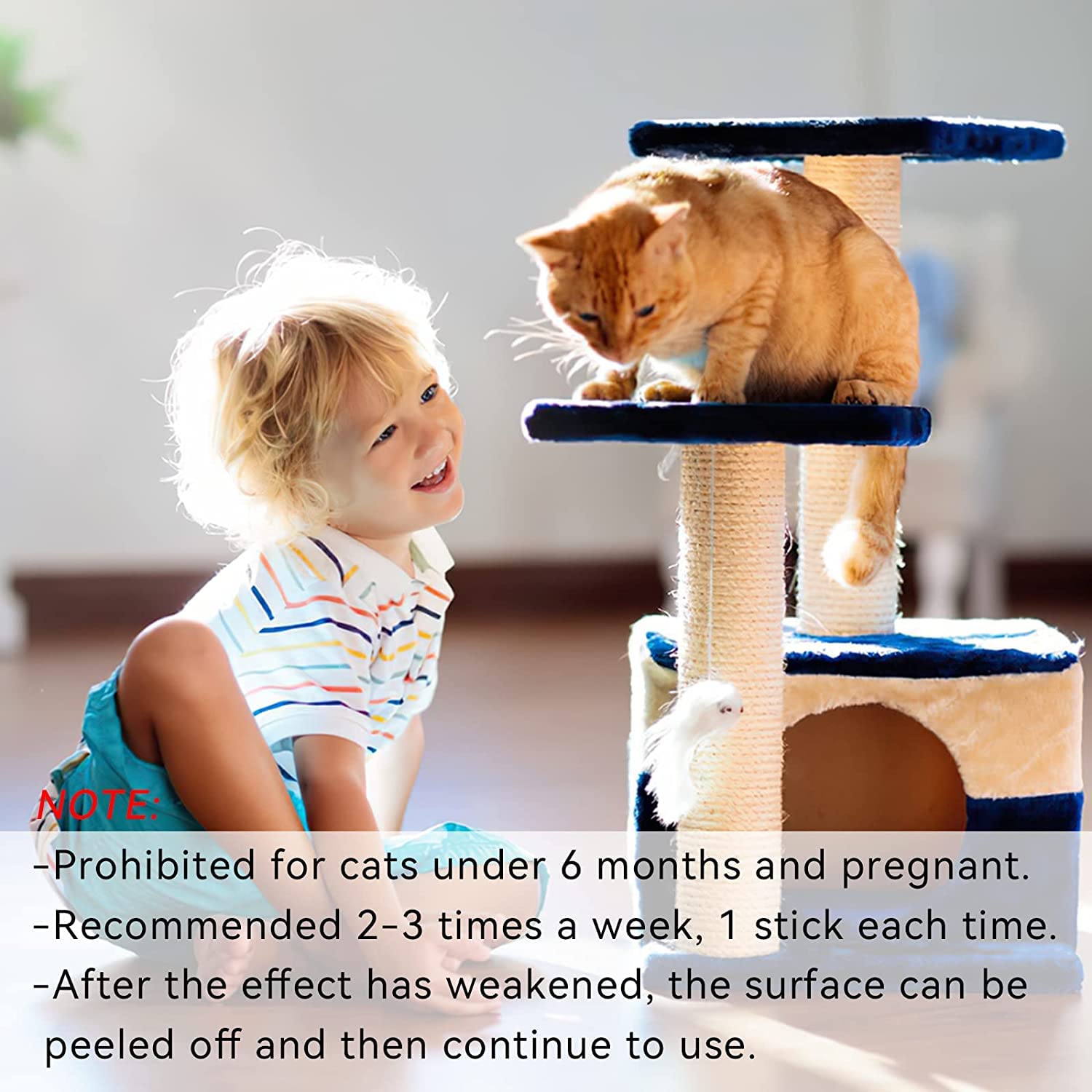 سيوسى العاب تسنين القطط، 6 قطع من عصي المضغ الفضية الطبيعية، العاب الريش/الفأر/النعناع البري للقطط، لعبة مضغ للقطط الصغيرة، للعب والاسترخاء، عصا تنظيف اسنان القطط