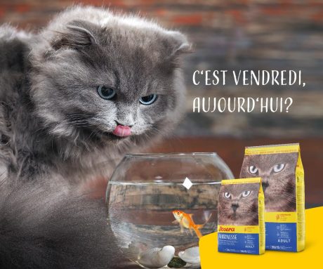 طعام القطط مارينيس من جوسيرا، 2 كجم، لحم بقري، كل مراحل الحياة