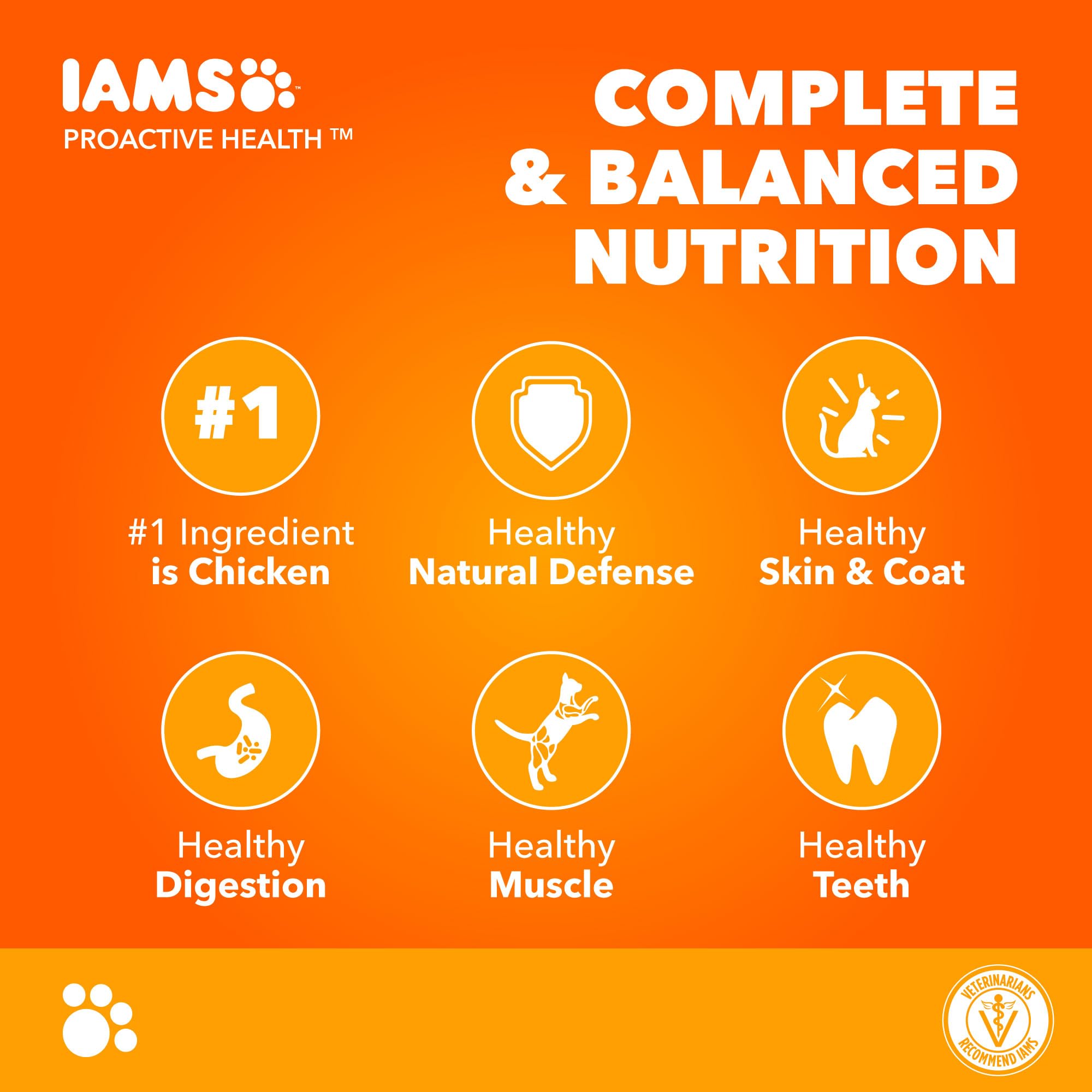 طعام جاف فاخر للقطط البالغة بالدجاج برواكتيف هيلث من ايامز، 400 غرام