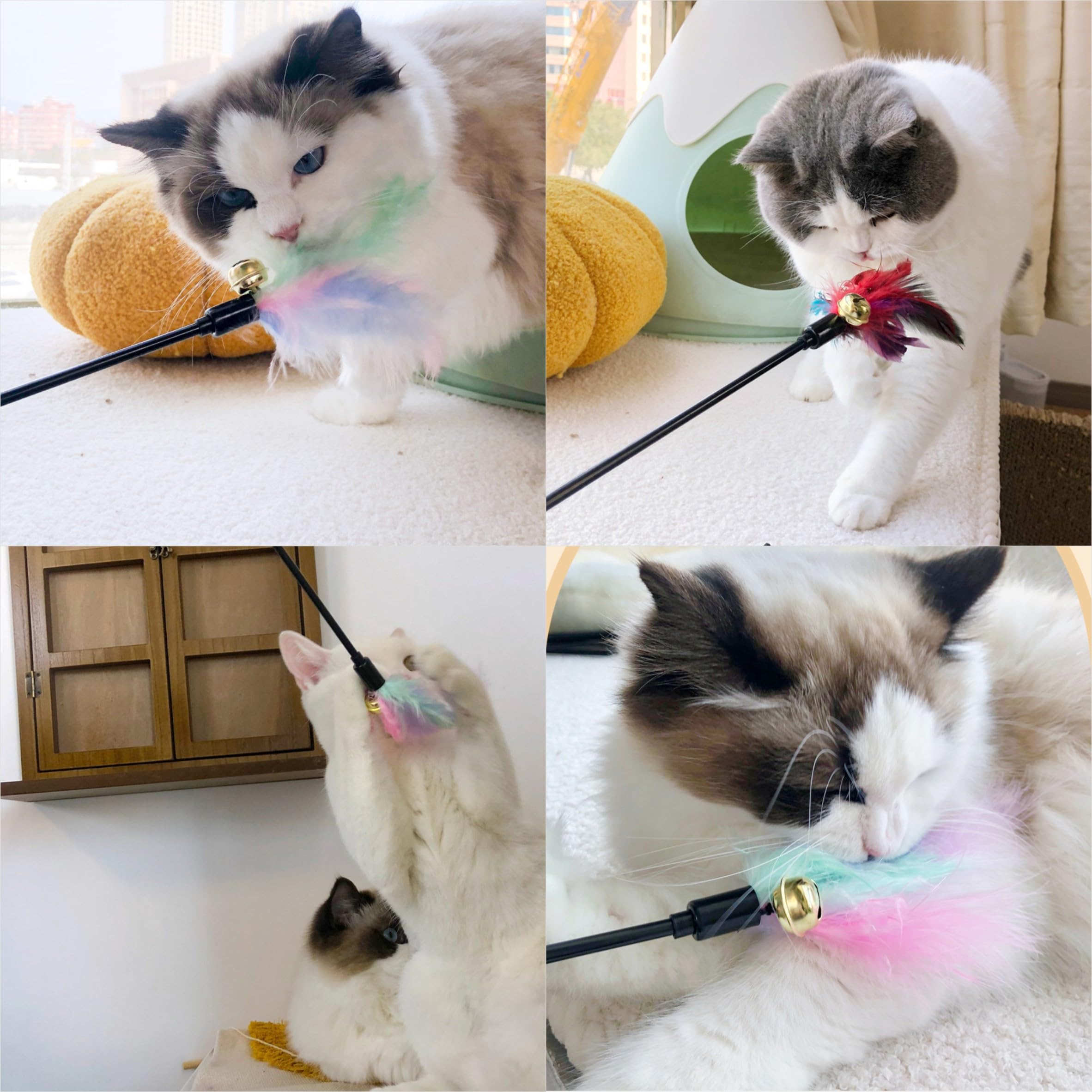 عصي ريشة للقطط، عصا ريشة القطط، عصا تدريب تفاعلية للقطط، لعبة تفاعلية رياضية للقطط، عصي ريشة للقطط الصغيرة، للعب القطط في الاماكن المغلقة والمفتوحة (4 قطع)