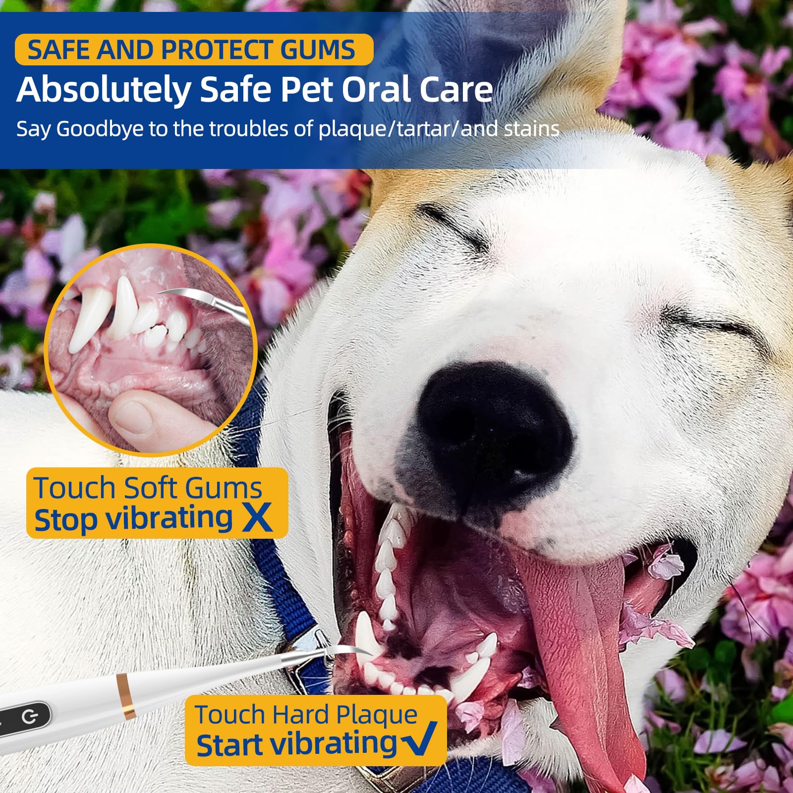 فرشاة تنظيف اسنان الحيوانات الاليفة والعناية بفم الكلاب، مجموعة تنظيف اسنان الحيوانات الاليفة مناسبة للكلاب والقطط، مجموعة تنظيف اسنان الحيوانات الاليفة، ادوات اسنان امنة للكلاب والقطط