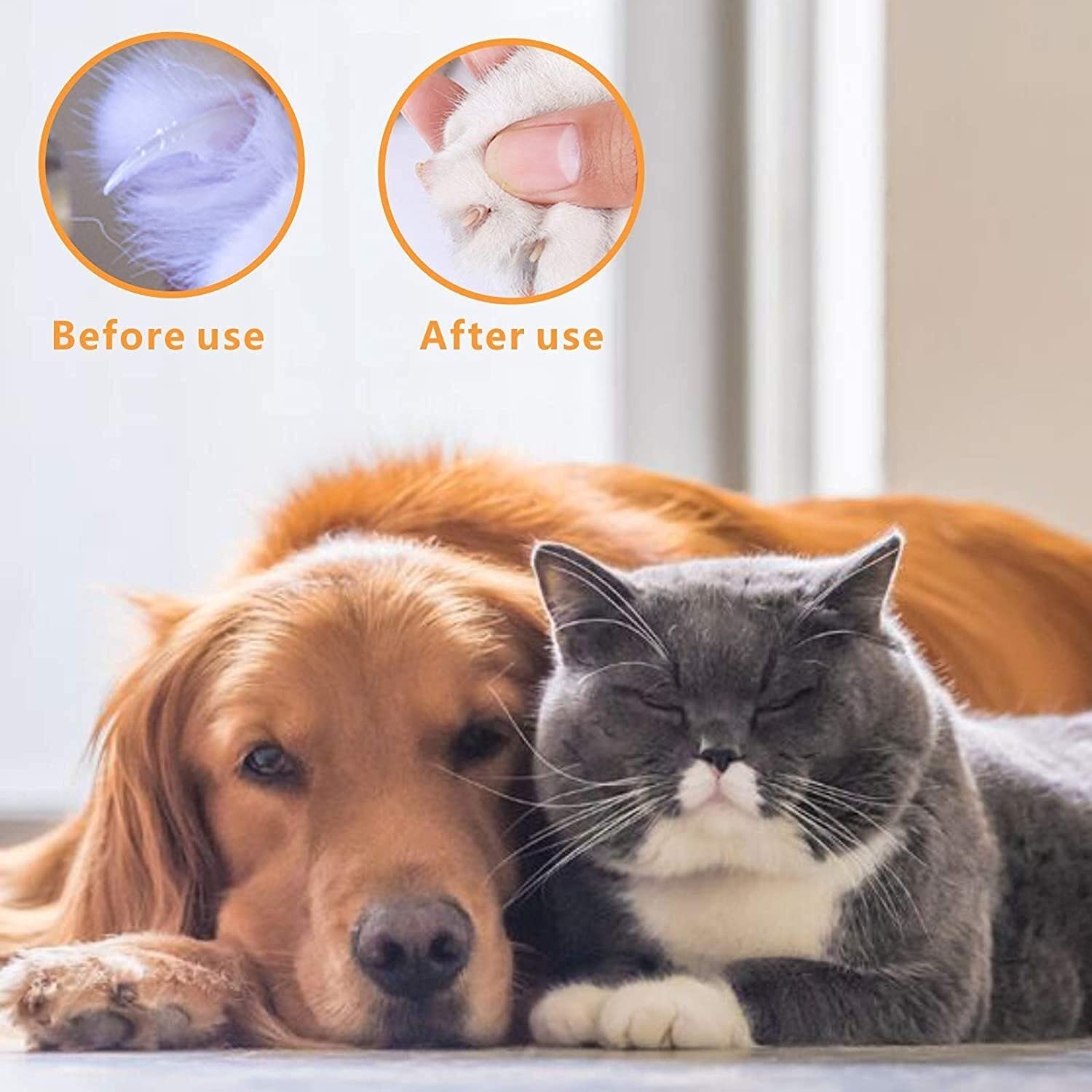 قصافة اظافر احترافية للحيوانات الاليفة - افضل مقص اظافر للقطط والكلاب الصغيرة وأي حيوانات اليفة صغيرة. شارب زاوية بليد الحيوانات الاليفة المتقلب مقص. قصافة اظافر الكلاب والقطط