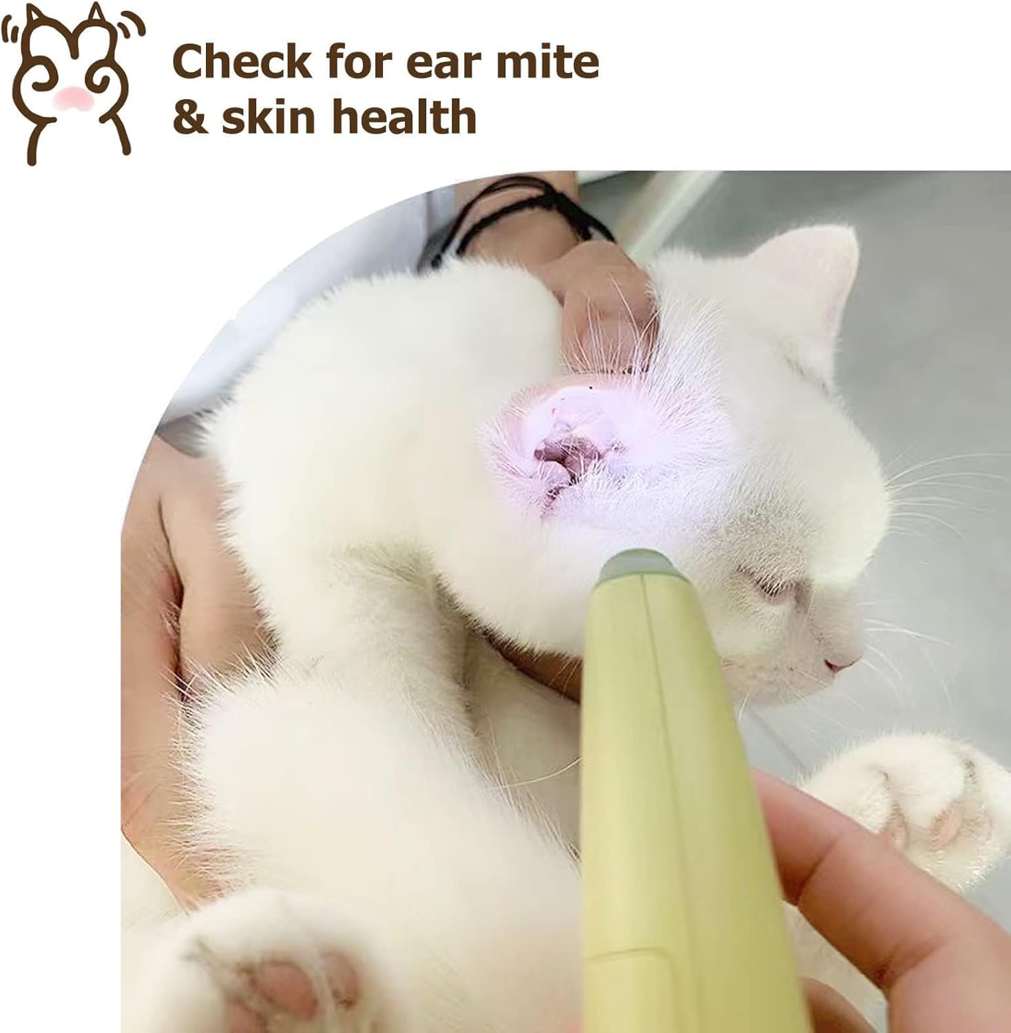 قصافة اظافر الحيوانات الاليفة من جويز، شفرة احترافية من الستانلس ستيل مع ضوء LED، قصافة اظافر حادة للقطط من اجل حلاقة امنة وسهلة، مثالية للكلاب والقطط الصغيرة والكبيرة