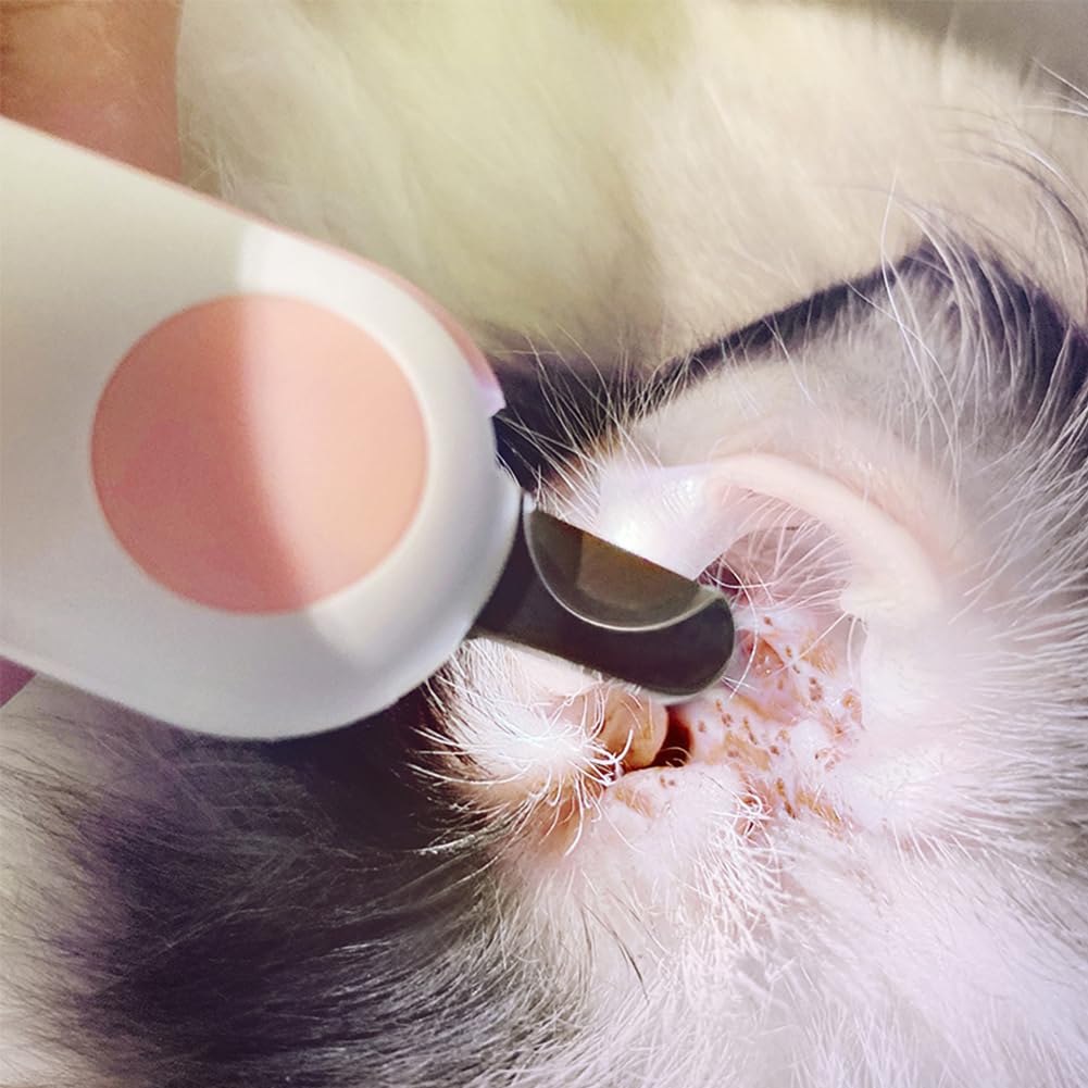 قصافة اظافر مع ضوء LED للكلاب والقطط، قصافة اظافر القطط مع ضوء LED، قصافة اظافر للقطط، مقص اظافر للقطط مع ضوء، قصافة اظافر القطط