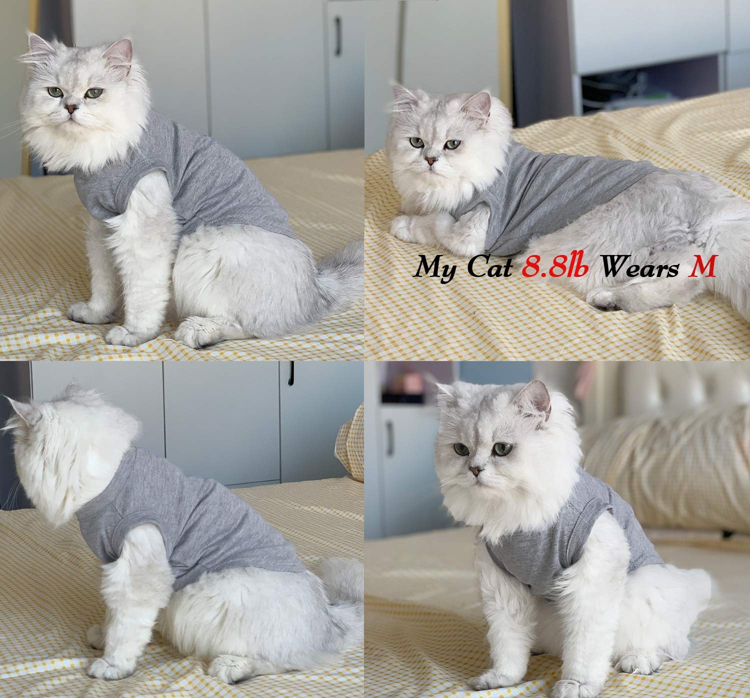 قمصان للكلاب والحيوانات الأليفة من تيلوتس، 3 قطع من سترة الجراء بدون أكمام، ملابس هزلية ناعمة وجيدة التهوية للكلاب والقطط الصغيرة جدًا والمتوسطة