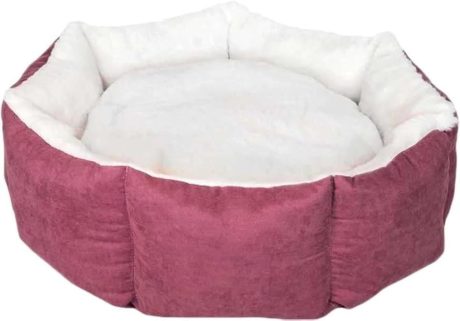 كانين سرير الحيوانات الأليفة جو كب كيك، مقاس متوسط