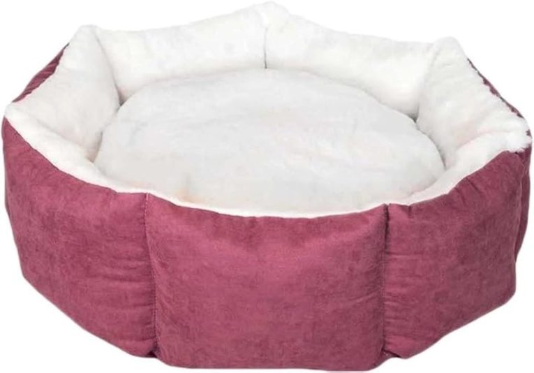 كانين سرير الحيوانات الأليفة جو كب كيك، مقاس متوسط