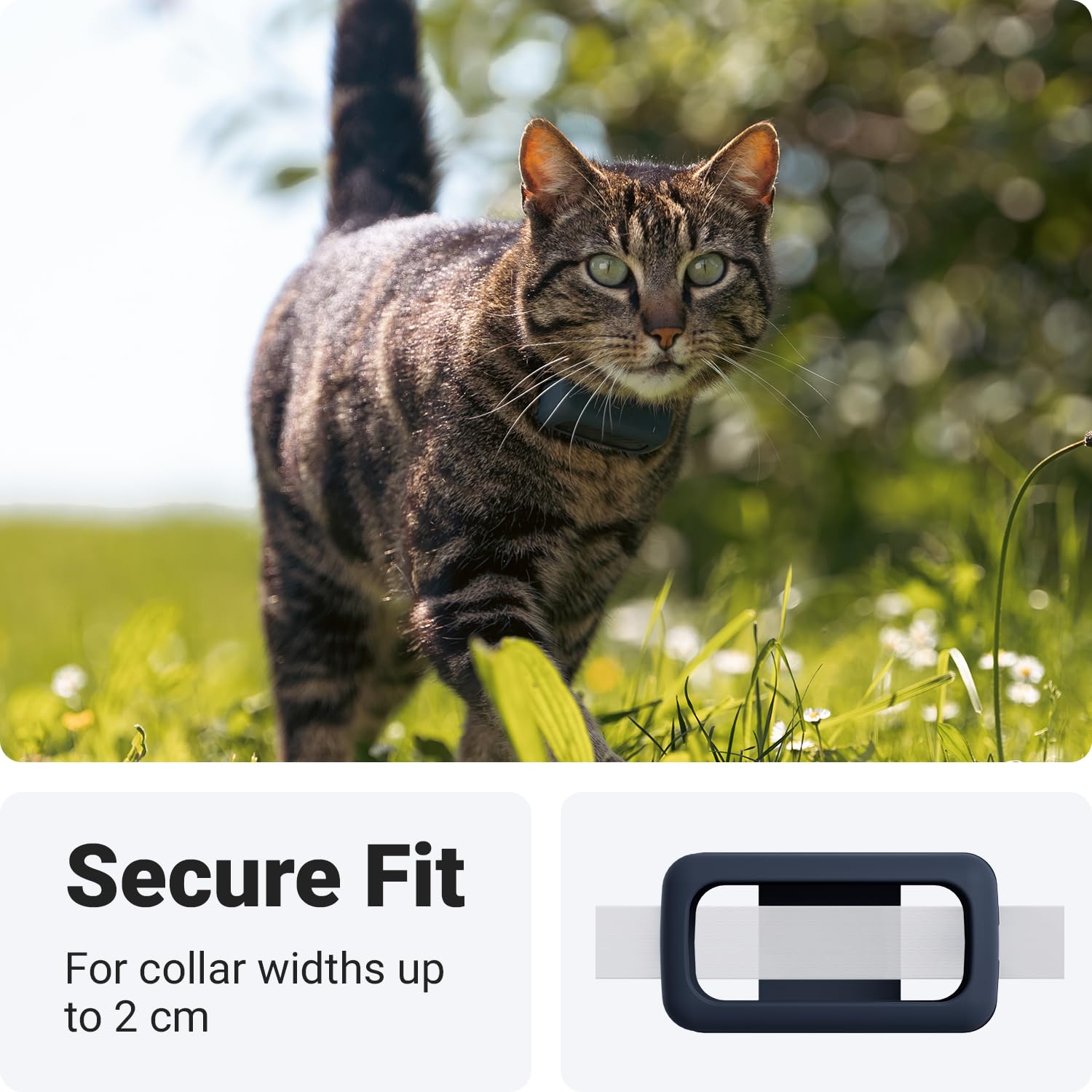 ملحق تثبيت مطاطي صغير للقطط بنظام تحديد المواقع من تراكتيف (عبوة من قطعتين)