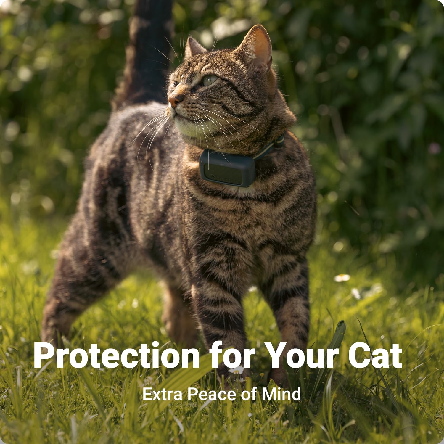 ملحق تثبيت مطاطي صغير للقطط بنظام تحديد المواقع من تراكتيف (عبوة من قطعتين)