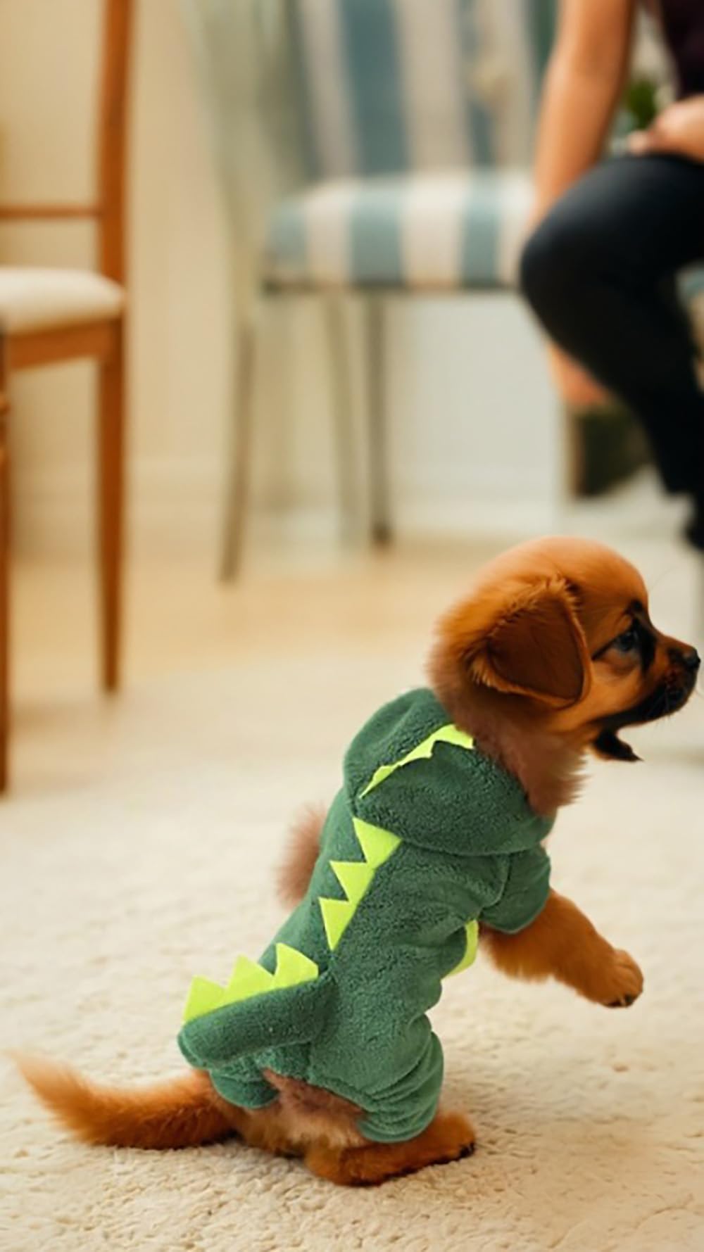 أزياء سويت سيفين من الصوف الدافئ للحيوانات الأليفة من قطعتين - سترة شتوية وجمبسوت قطيفة للكلاب والقطط - بدلة ديناصور لأزياء الهالوين - بيجامات شتوية مريحة وملابس أنيقة للكلب الألماني مقاس L