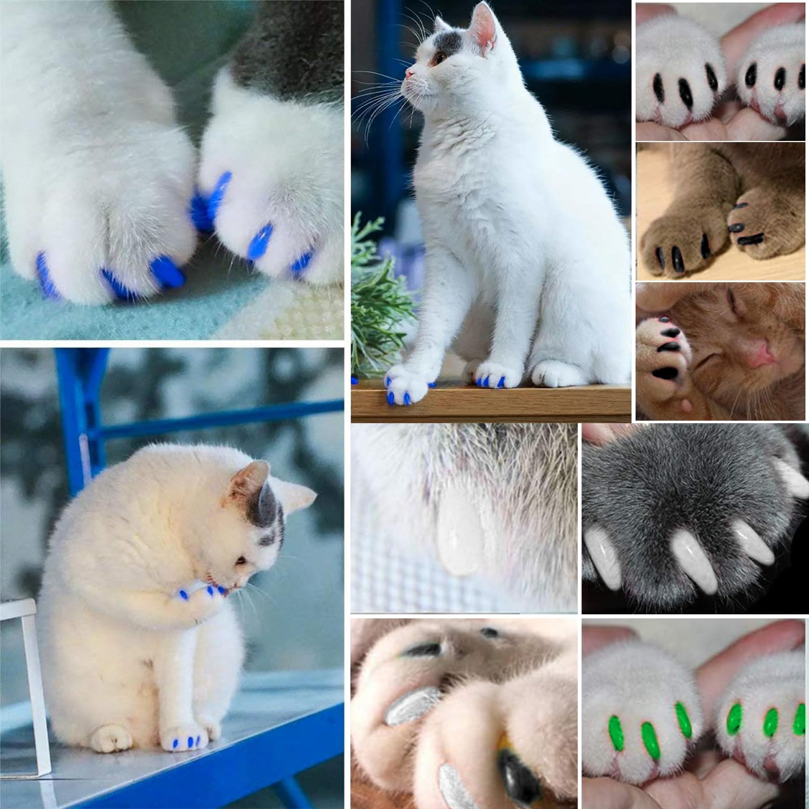 أغطية أظافر للقطط لتغطية مخالب القطط الصغيرة مع لاصقات وأداة تطبيق، أغطية لمقص أظافر الحيوانات الأليفة لحماية المنزل والأثاث ومنع الخدش، مقاس متوسط، 5 ألوان، عبوة من 100 قطعة