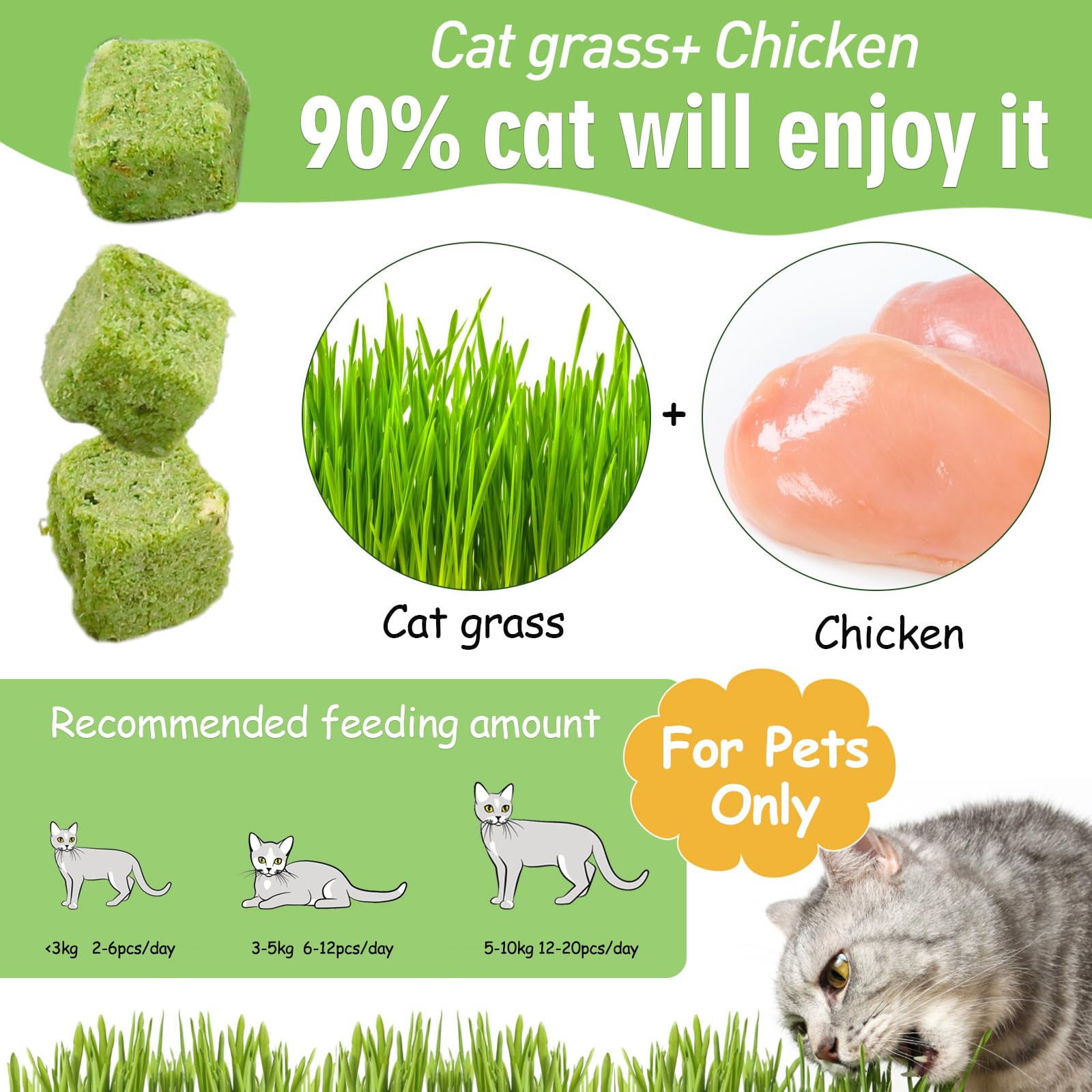 ألعاب عشبية للقطط من النعناع البري، مجففة بشكل طبيعي للقطط، ألعاب مضغ للقطط صالحة للأكل لتنظيف الأسنان وإزالة الشعر، 60 جرام