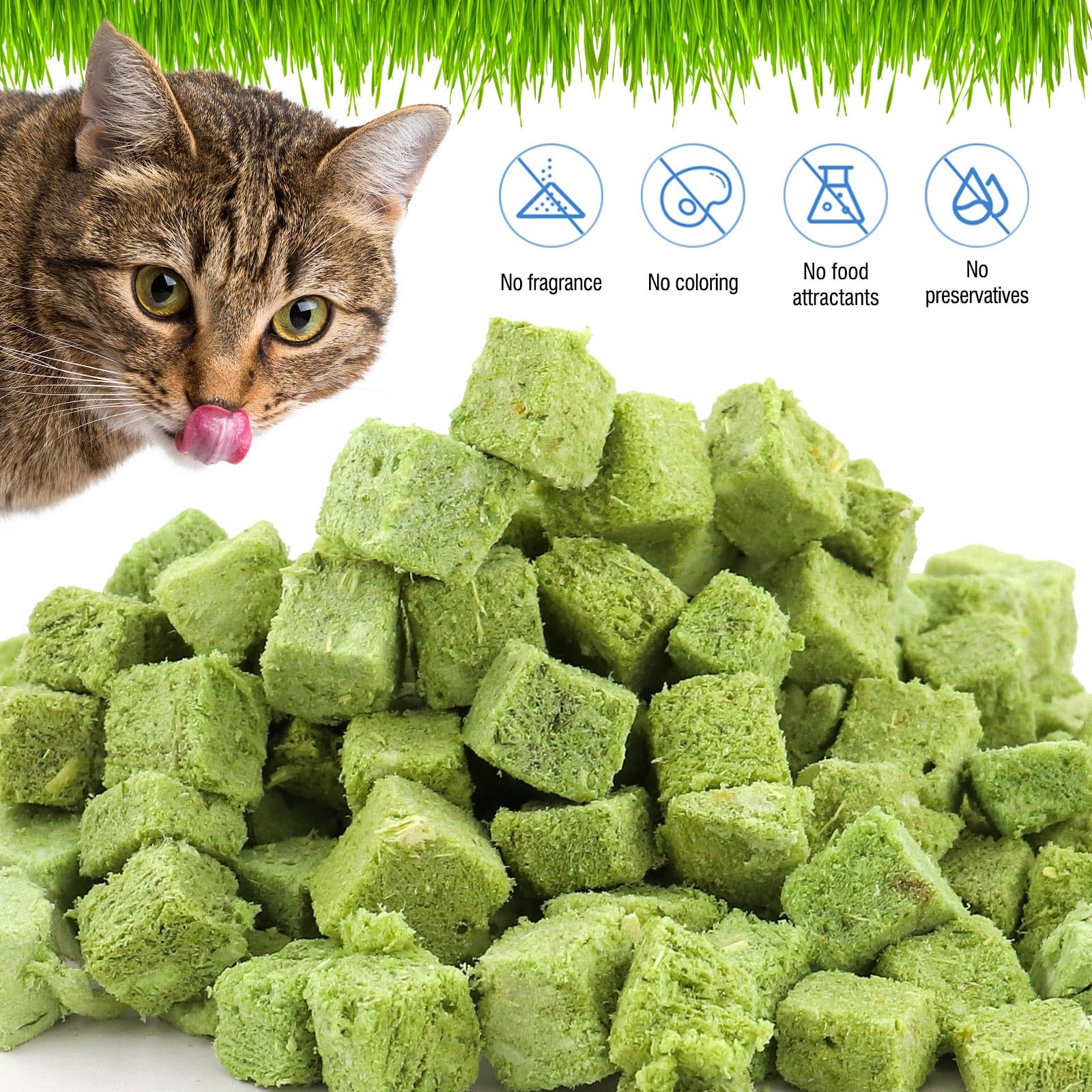 ألعاب عشبية للقطط من النعناع البري، مجففة بشكل طبيعي للقطط، ألعاب مضغ للقطط صالحة للأكل لتنظيف الأسنان وإزالة الشعر، 60 جرام