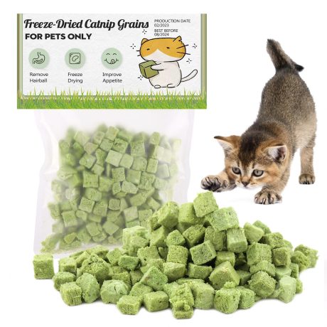 ألعاب عشبية للقطط من النعناع البري، مجففة بشكل طبيعي للقطط، ألعاب مضغ للقطط صالحة للأكل لتنظيف الأسنان وإزالة الشعر، 60 جرام