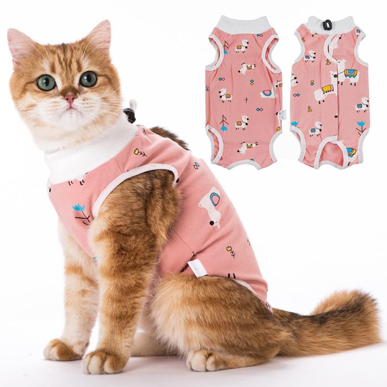 اتدورو بدلة التعافي من التعقيم للقطط من قطعتين للرجال والنساء جيدة التهوية للقطط بعد الجراحة، ملابس قطط جيدة التهوية لمنع لعق جروح البطن. (S، الباكا)