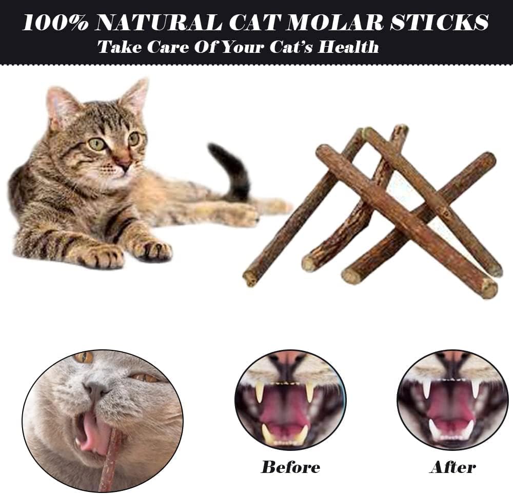 اس 2 سي 28 قطعة من ملحقات العاب القطط التفاعلية - ملحقات للقطط الداخلية، العاب القطط، نفق وخيمة، العاب القطط للعض، العاب القطط للقطط، لعبة سمكة للقطط لمحبي القطط..