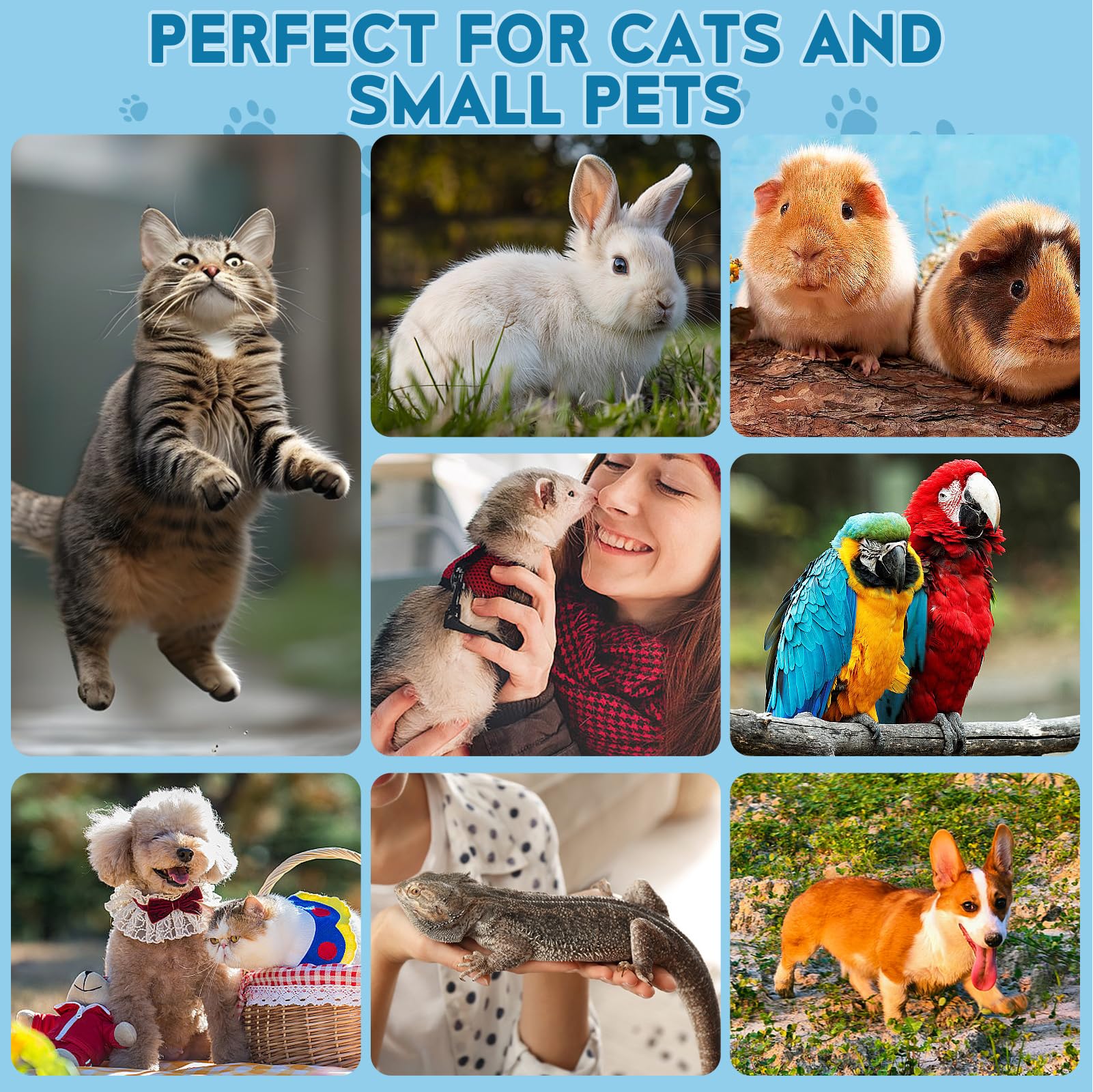 اف جيه سي تي اي ار قصافة اظافر للقطط، قصافة احترافية للحيوانات الاليفة في الاماكن المغلقة والقطط الصغيرة والجراء والطيور والارانب، ادوات تشذيب اظافر امنة للحيوانات الصغيرة والحيوانات الاليفة المنزلية