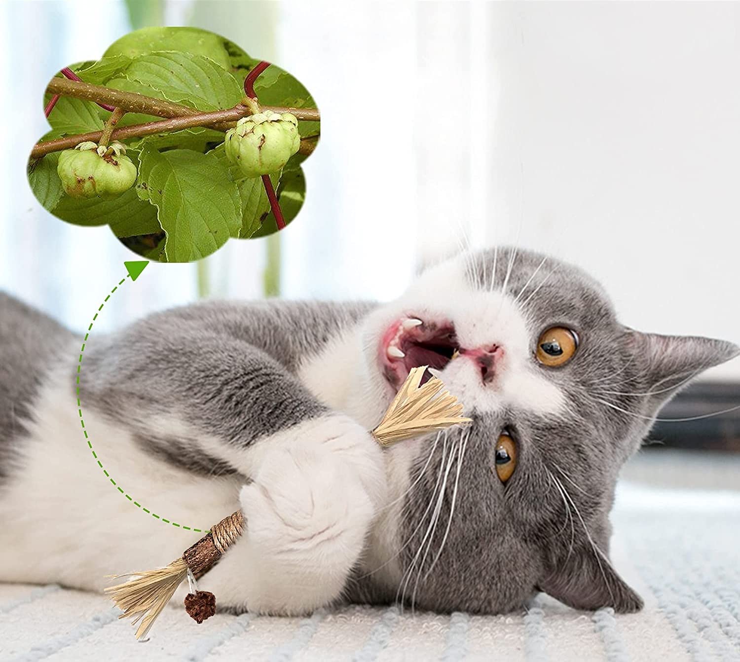 العاب مضغ للقطط من ساوانورك، 3 قطع، عصي مضغ للقطط الصغيرة للمضغ العدواني، لعبة عصا مضغ سيلفرفاين، العاب النعناع البري كبيرة الحجم