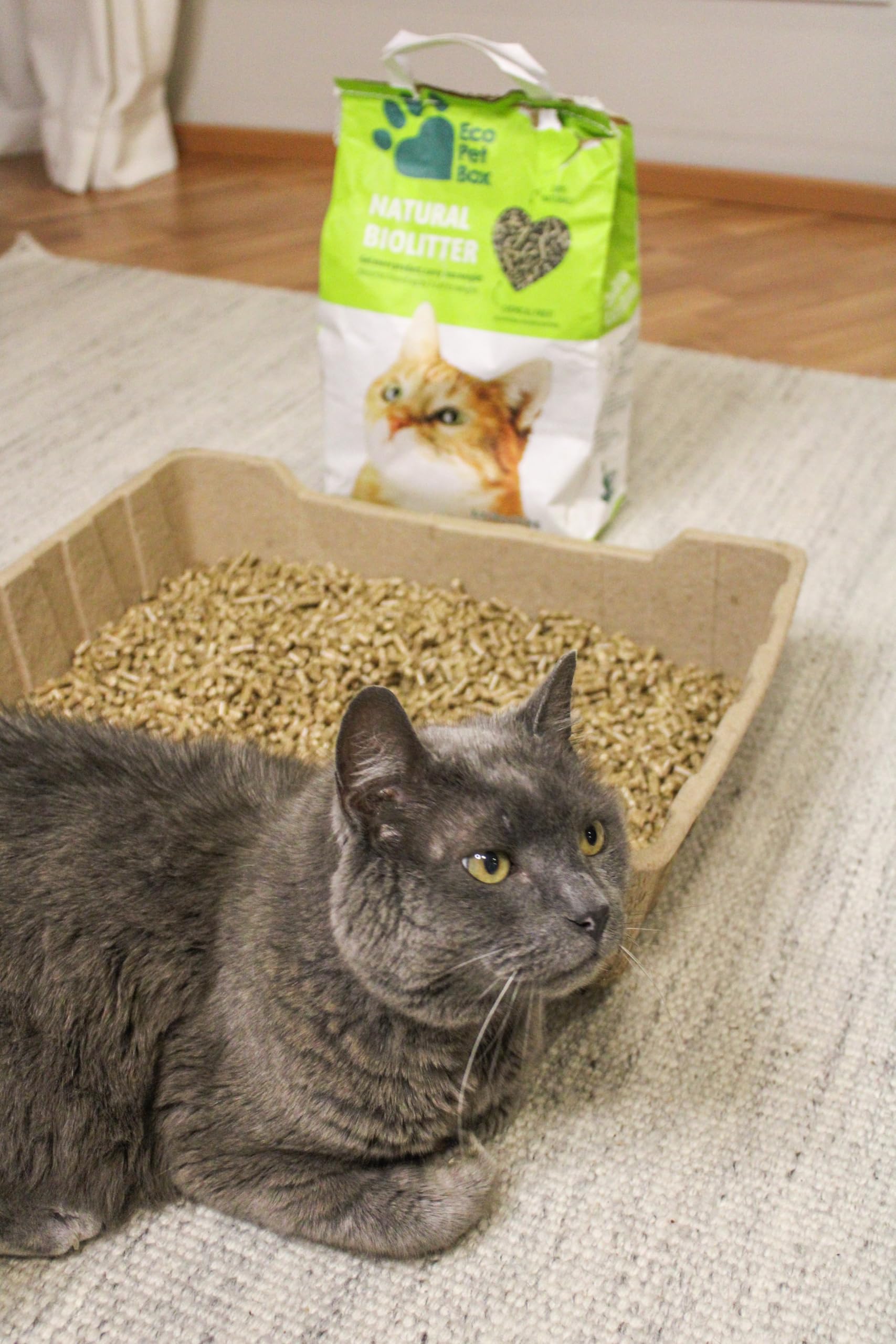 ايكو بيت رمل حيوي من الخشب الطبيعي وحبيبات القش، 11 باوند