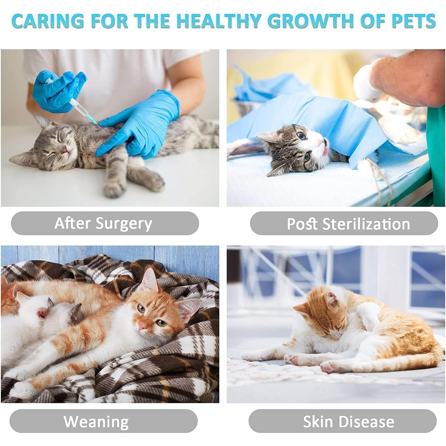 بدلة التعافي من جراحة القطط من ابوتو، بدلة تعافي ناعمة رمادية للقطط بعد الجراحة، قطعة واحدة مضادة للعق للرجال والنساء، مقاس M جيد التهوية للحيوانات الاليفة من 3 الى 6 كجم، بديل للطوق الإلكتروني