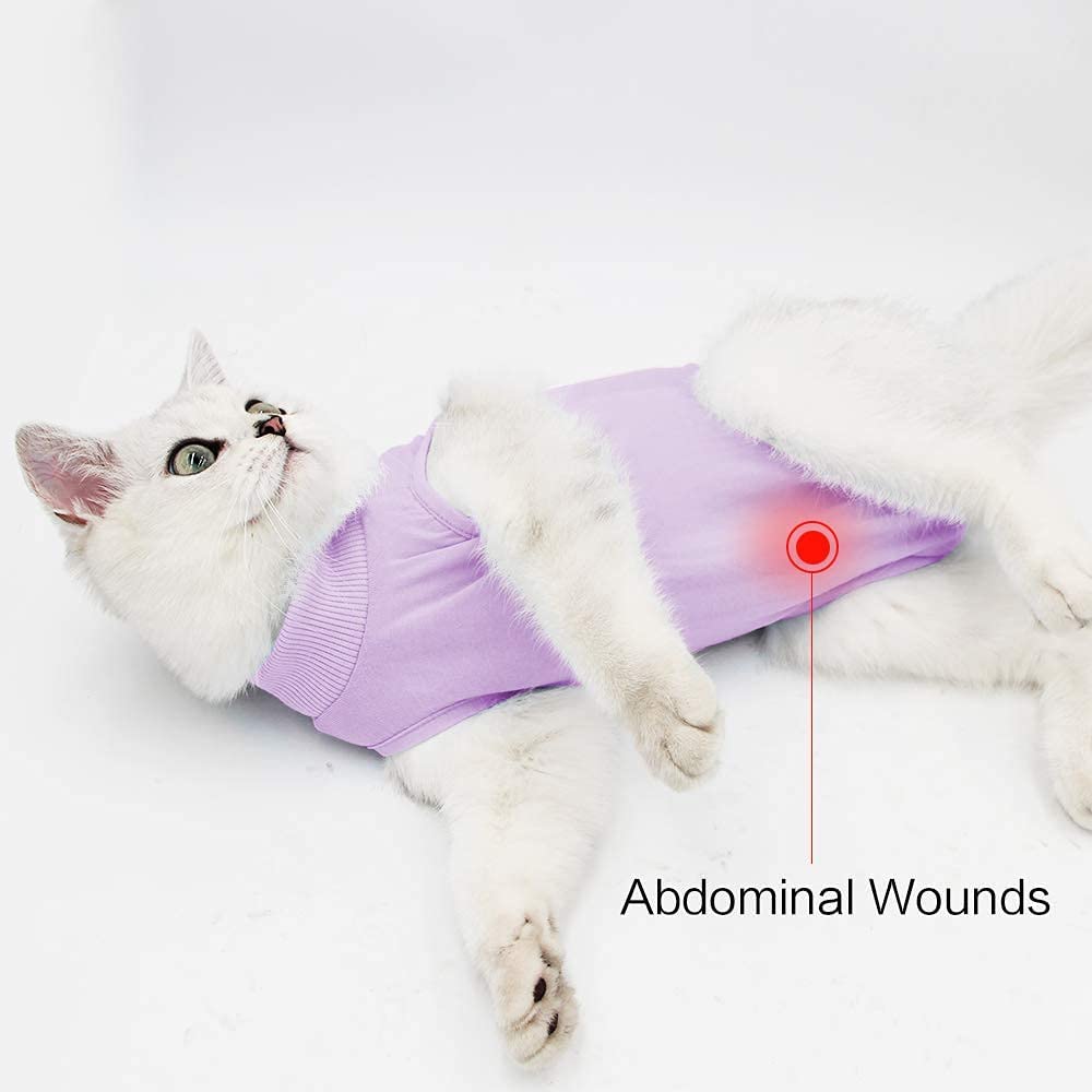 بدلة تعافي احترافية للقطط من جروح البطن او الامراض الجلدية، بديل الياقة الالكترونية للقطط والكلاب، ملابس بعد العمليات الجراحية، بدلة بيجامة (مقاس M، زهري)