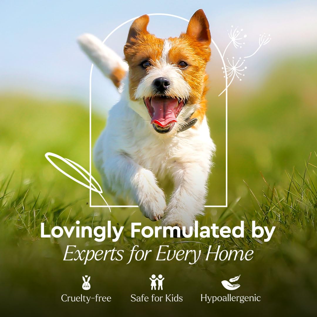 بيورسي مزيل بقع ورائحة الحيوانات الاليفة - روائح للمنزل - تركيبة الجيل الثاني بدون شطف - بول الاحترافي يعمل بالطاقة النباتية - السجاد الآمن