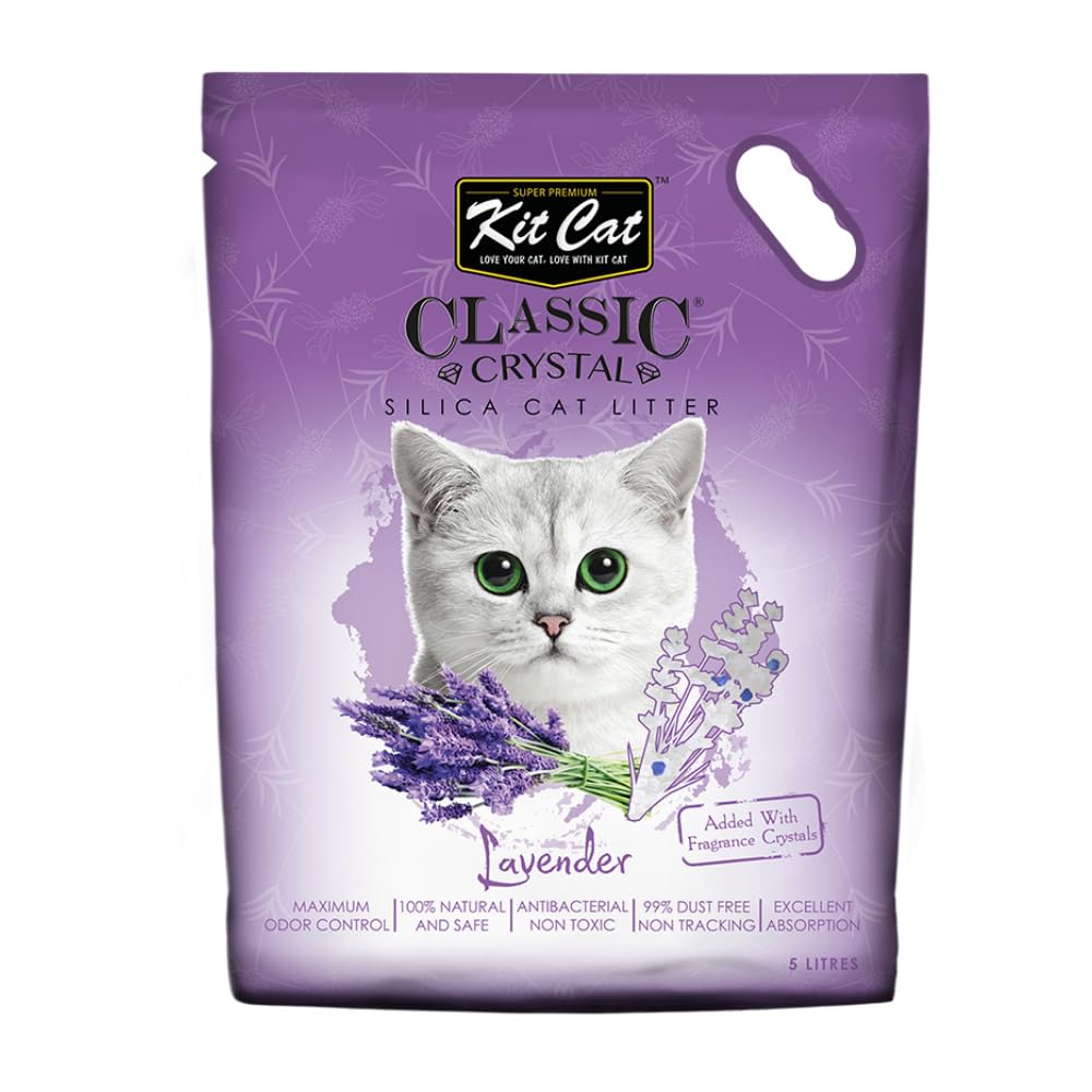 تراب فضلات القطط كريستال سيليكا لافندر من كيت كات، 5 لتر، ارجواني