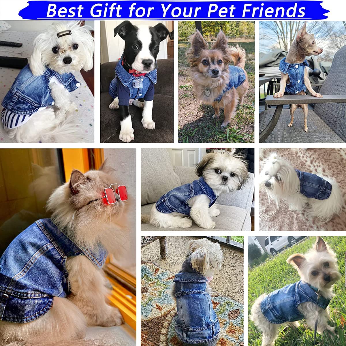 جاكيت جينز كلاسيكي مريح وبدون اكمام وقابلة للغسل ملابس رائعة للكلاب الصغيرة والمتوسطة والقطط والحيوانات الاليفة من الاناث والذكور لون ازرق من كاستويف