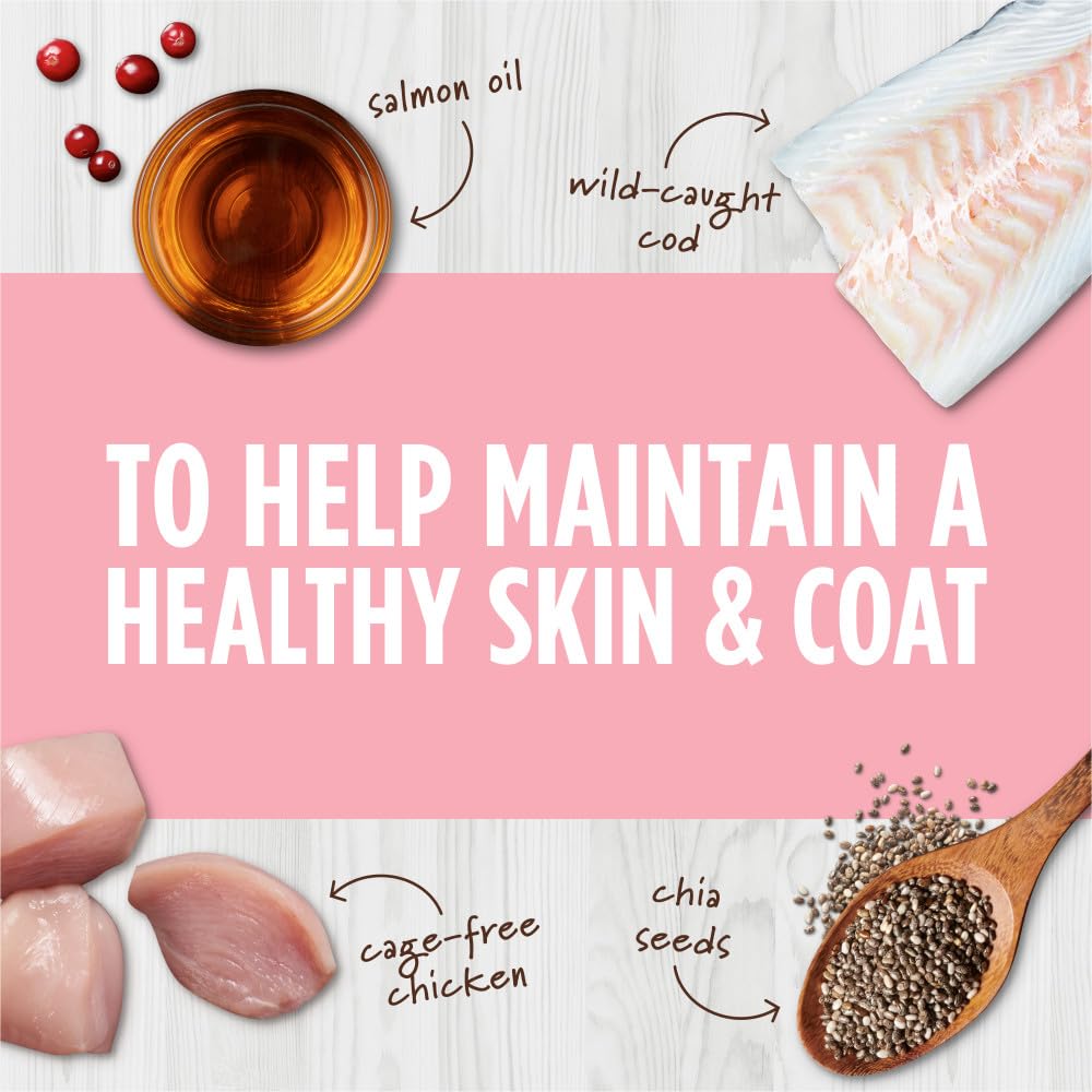 خلطات طعام قطط رو بوست ميكسرز باردة جافة خالية من الحبوب بمكونات طبيعية توضع اعلى القطط الجاف لزيادة قيمته الغذائية انستيكنت 5.5 oz. Bag 6170111 كل مراحل الحياة دجاج