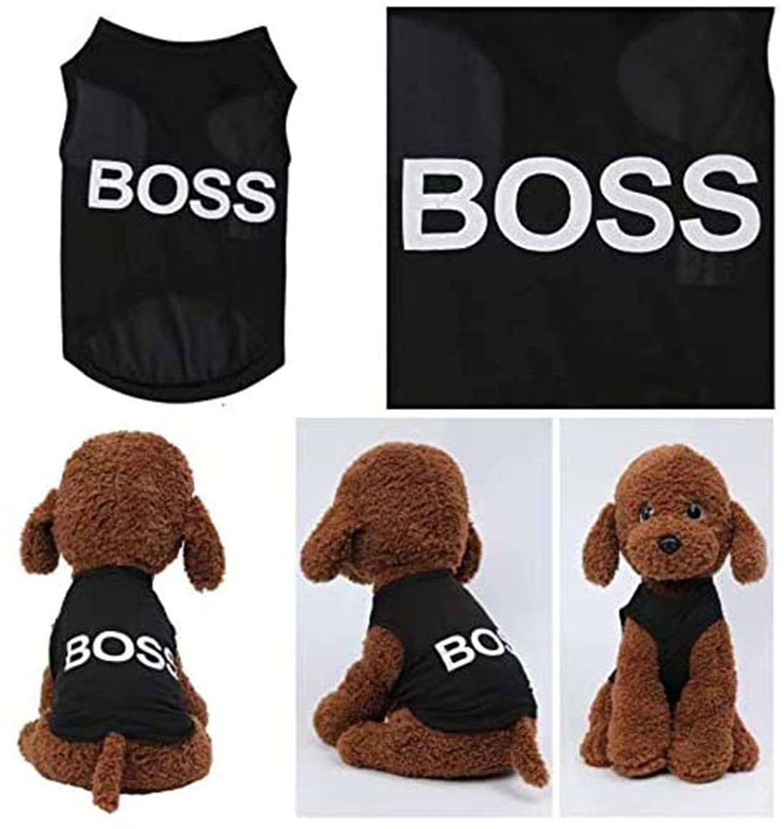 ديلفينو ملابس شتوية للكلاب والقطط والحيوانات الاليفة من 4 قطع، قميص صيفي للكلاب الصغيرة والاولاد، ملابس شيهواهوا يوركيز، ملابس حيوانات اليفة، ملابس للقطط بلون اسود، سترة امان مضحكة، هدية