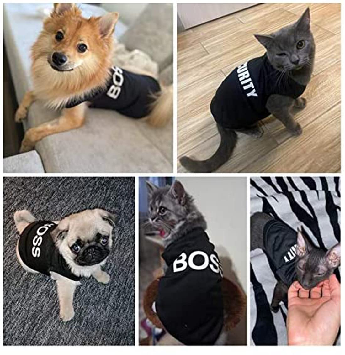 ديلفينو ملابس شتوية للكلاب والقطط والحيوانات الاليفة من 4 قطع، قميص صيفي للكلاب الصغيرة والاولاد، ملابس شيهواهوا يوركيز، ملابس حيوانات اليفة، ملابس للقطط بلون اسود، سترة امان مضحكة، هدية