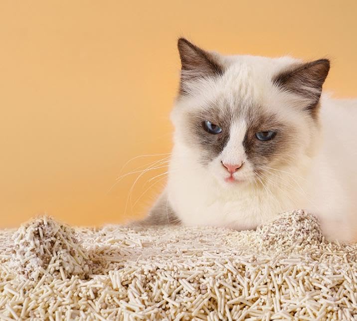 رمل فضلات قطط توفو، حبيبات رمل قطط متكتلة قابلة للرمي في المرحاض، رمل قطط طبيعي نقي وجميل خالٍ من الغبار رمل قطط منخفض التتبع فائق الامتصاص من ريشير-جو، 6 لتر 2.5 كيلوجرام/كيس، رائحة أصلية قطعة واحدة