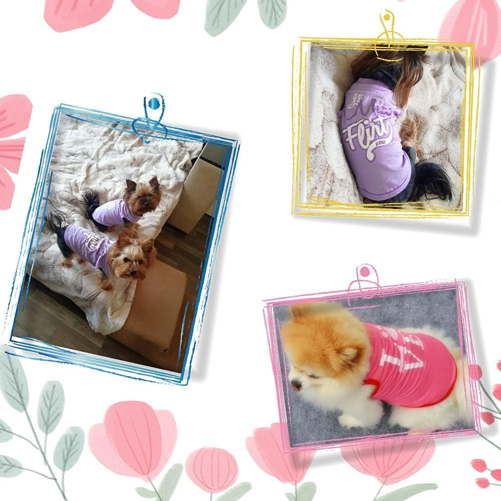 زي تنكري بتصميم قميص الاميرة والسترة للكلاب الصغيرة والجراء والقطط فانسي باوز - مقاس S