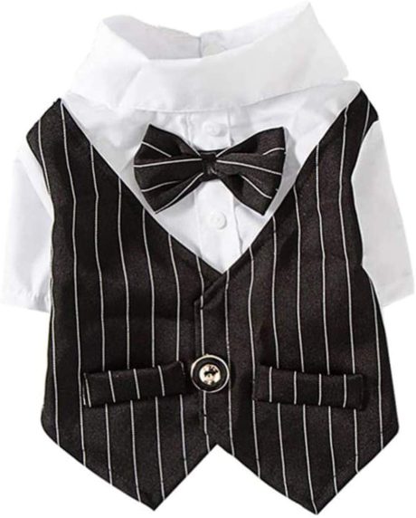 زي تنكري للكلاب والقطط على شكل ربطة عنق على شكل فيونكة من ملابس كوزي للحيوانات الأليفة، بدلة سهرة رسمية للجراء والقطط الصغيرة لطيفة للحيوانات الأليفة في الأماكن المغلقة وحفلات الزفاف (أسود، مقاس S)