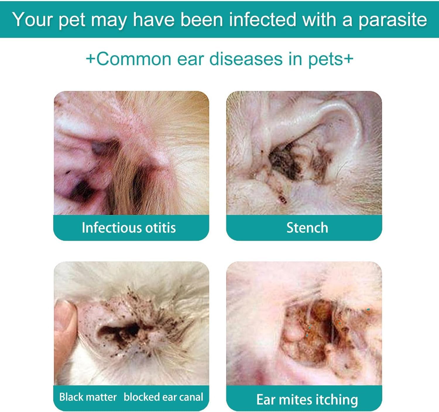 زيت تنظيف أذن الحيوانات الأليفة، مجموعة تنظيف أذن الكلاب، علاج عث الأذن للقطط، منظف أذن الحيوانات الأليفة، مع ممسحة قطنية، من لكجوري