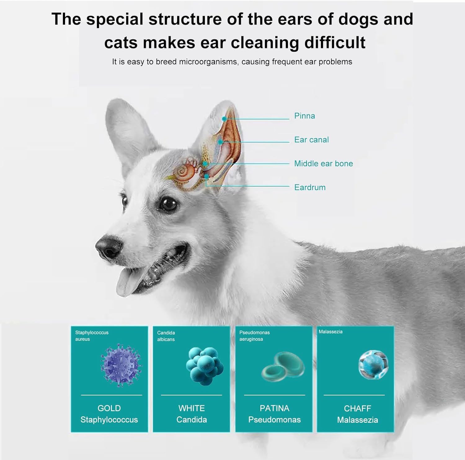 زيت تنظيف أذن الحيوانات الأليفة، مجموعة تنظيف أذن الكلاب، علاج عث الأذن للقطط، منظف أذن الحيوانات الأليفة، مع ممسحة قطنية، من لكجوري