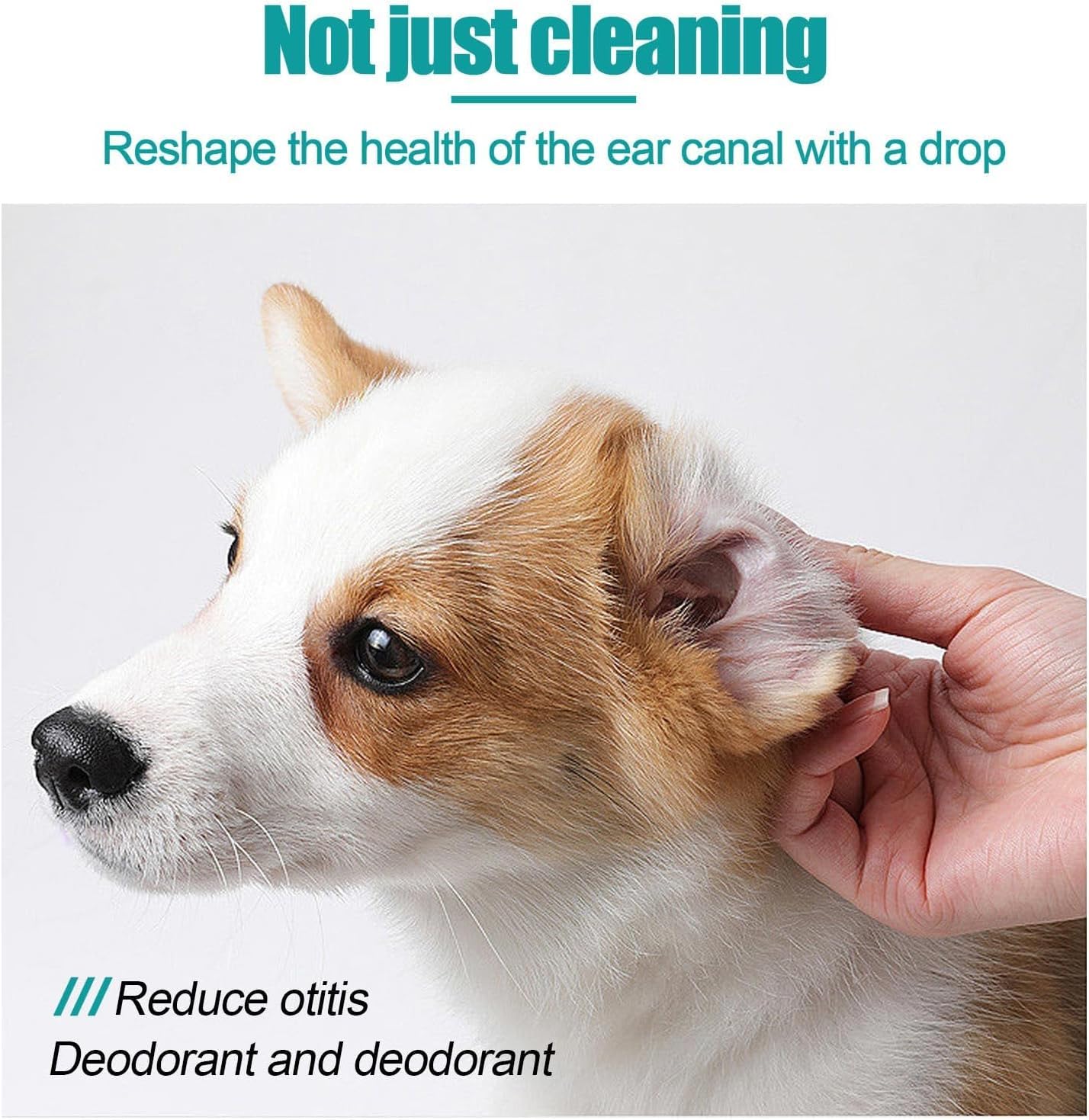 زيت تنظيف أذن الحيوانات الأليفة، مجموعة تنظيف أذن الكلاب، علاج عث الأذن للقطط، منظف أذن الحيوانات الأليفة، مع ممسحة قطنية، من لكجوري