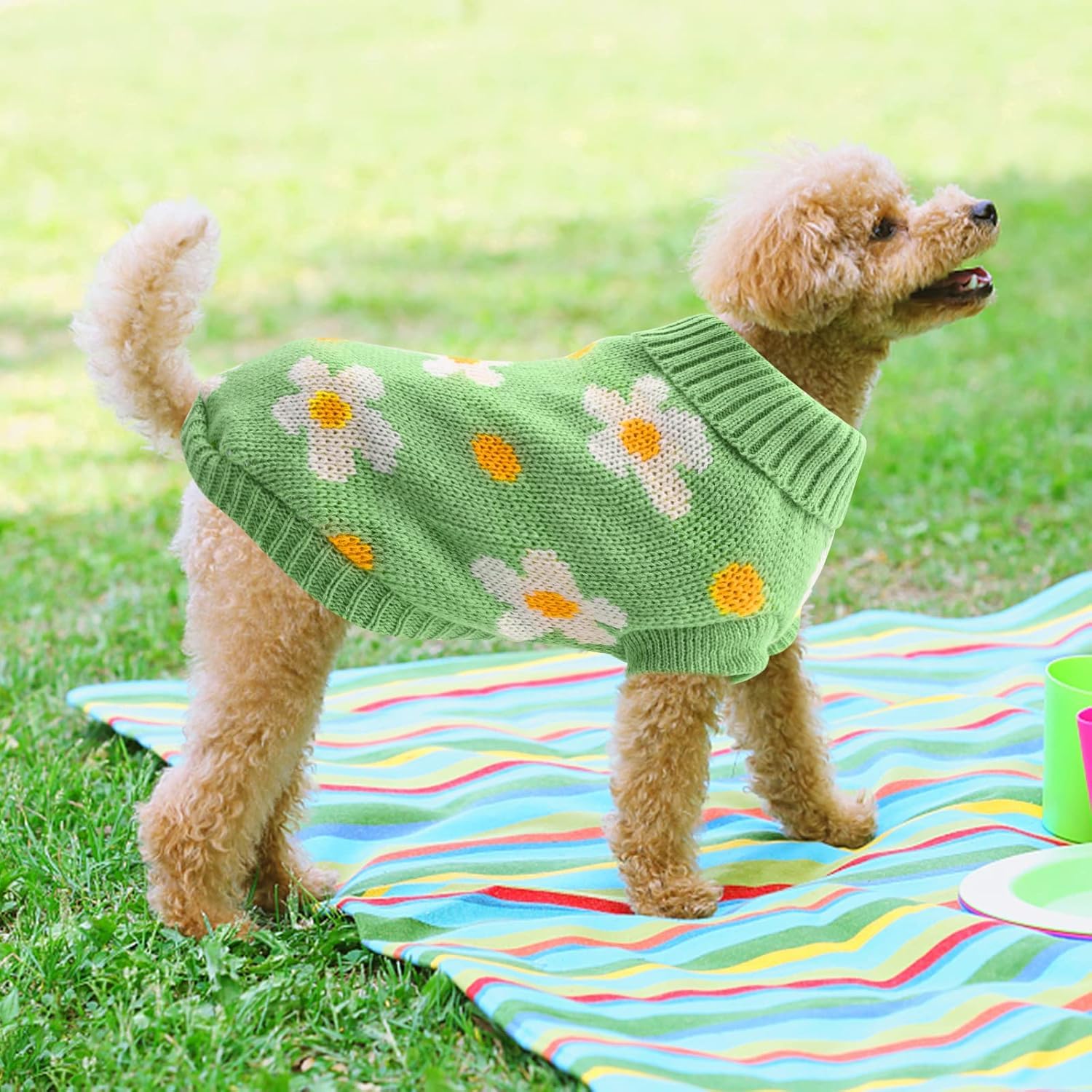 سترة شتوية محبوكة لطيفة بياقة مدورة للكلاب الصغيرة من ازوني - ملابس الطقس البارد للكلاب والقطط الصغيرة (L)