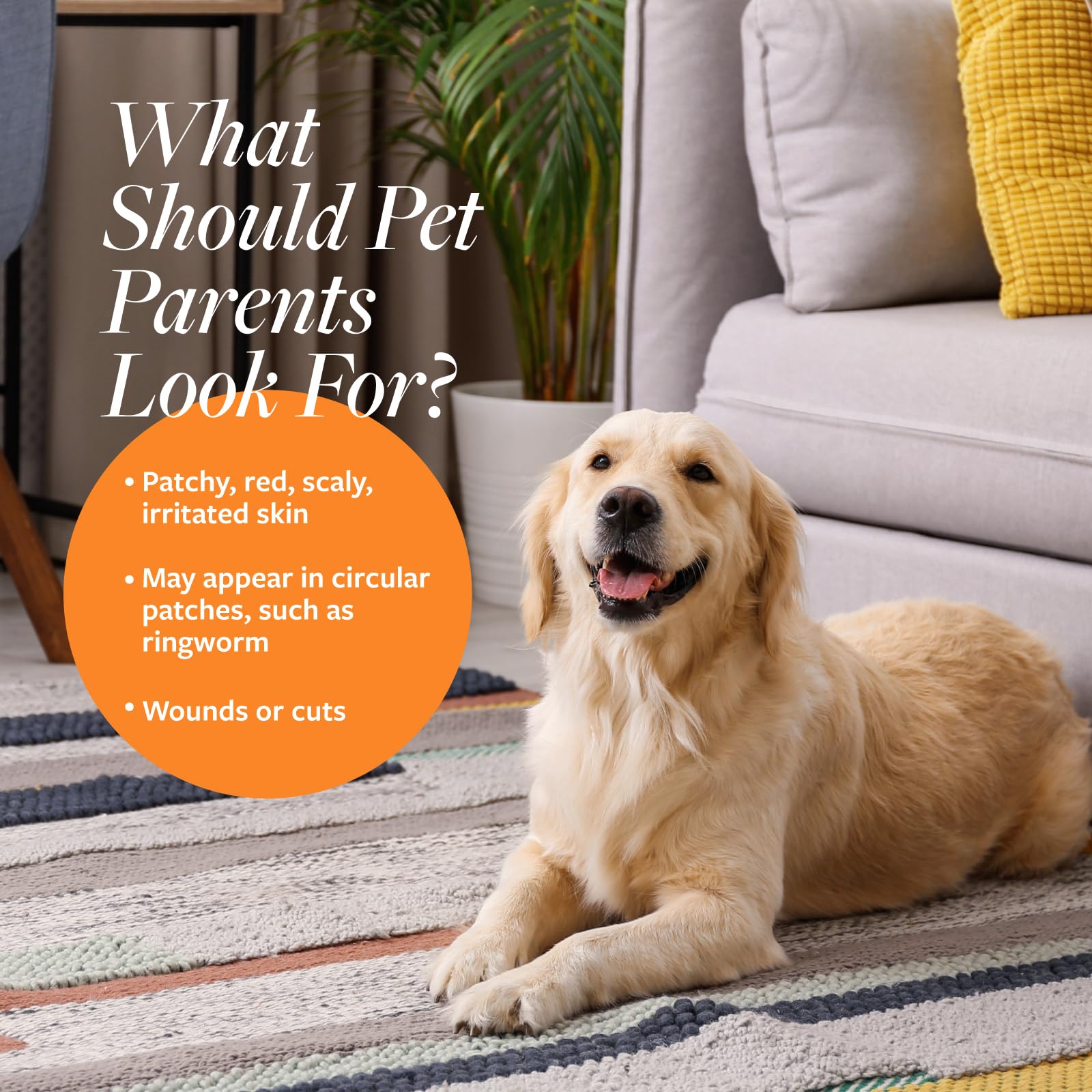 شامبو كلينيكال كير مطهر ومضاد للفطريات بسعة 453.59 اونصة